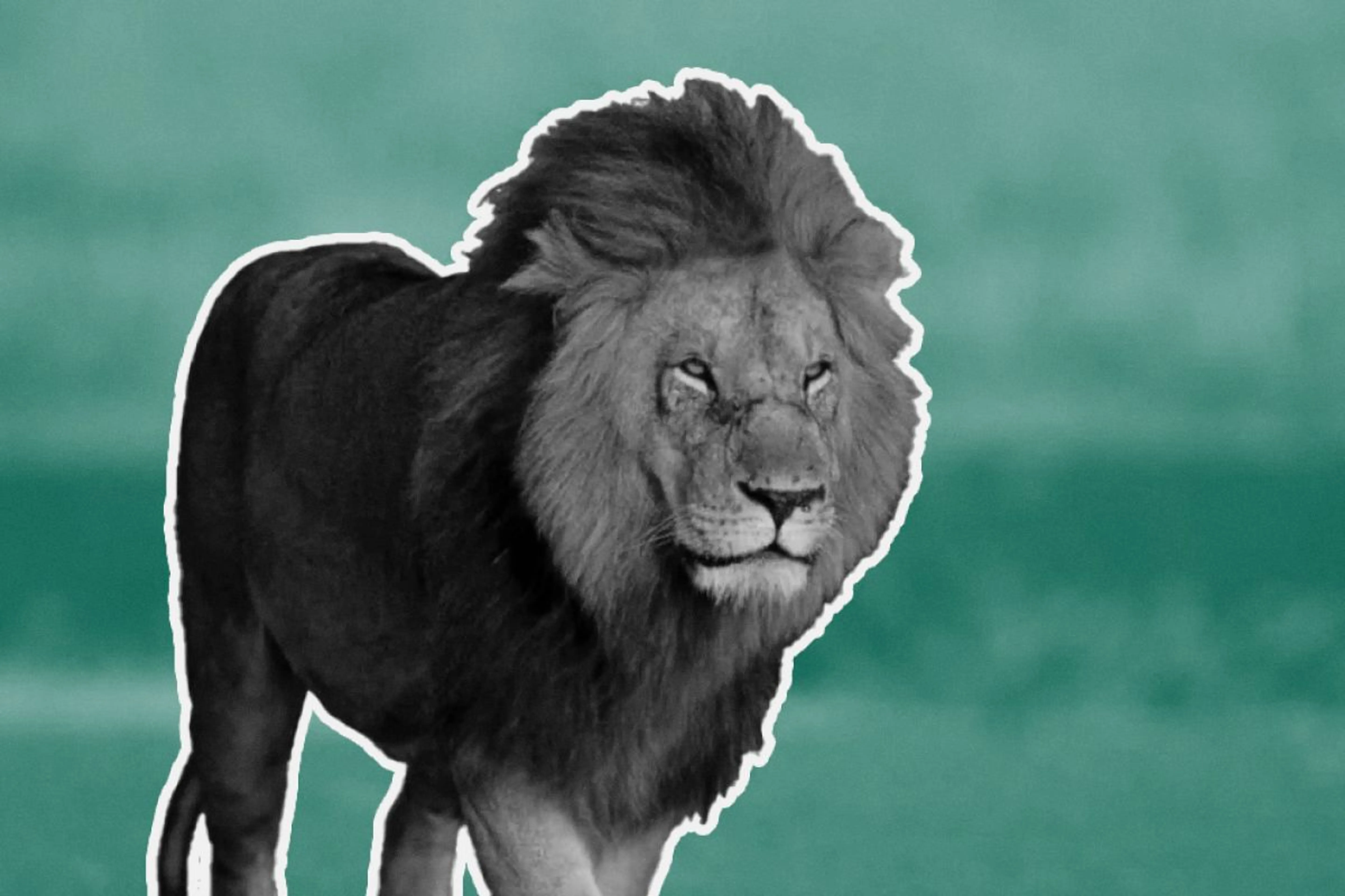 Коллаж Mustafin Magazine