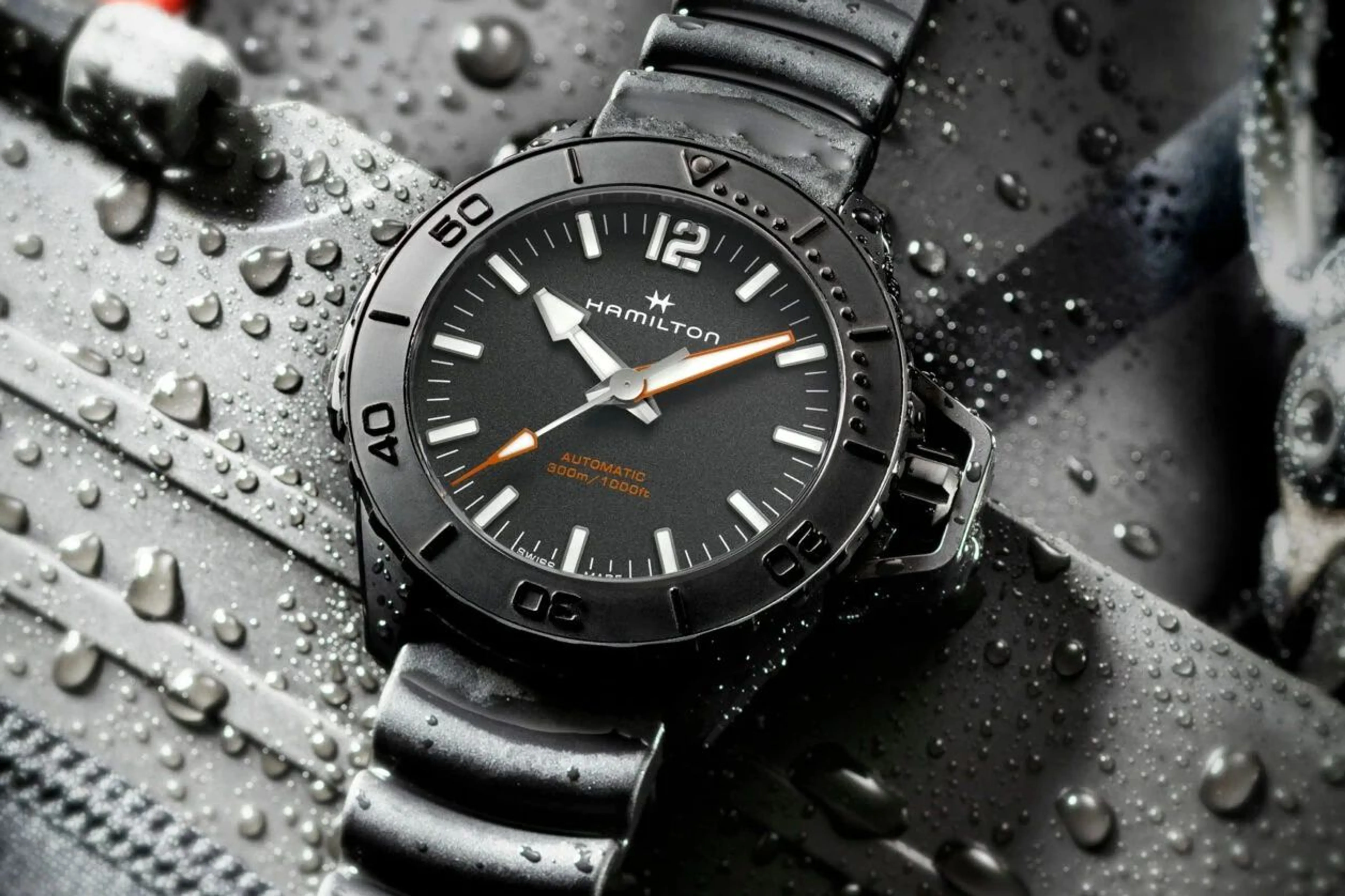 hamiltonwatch.com