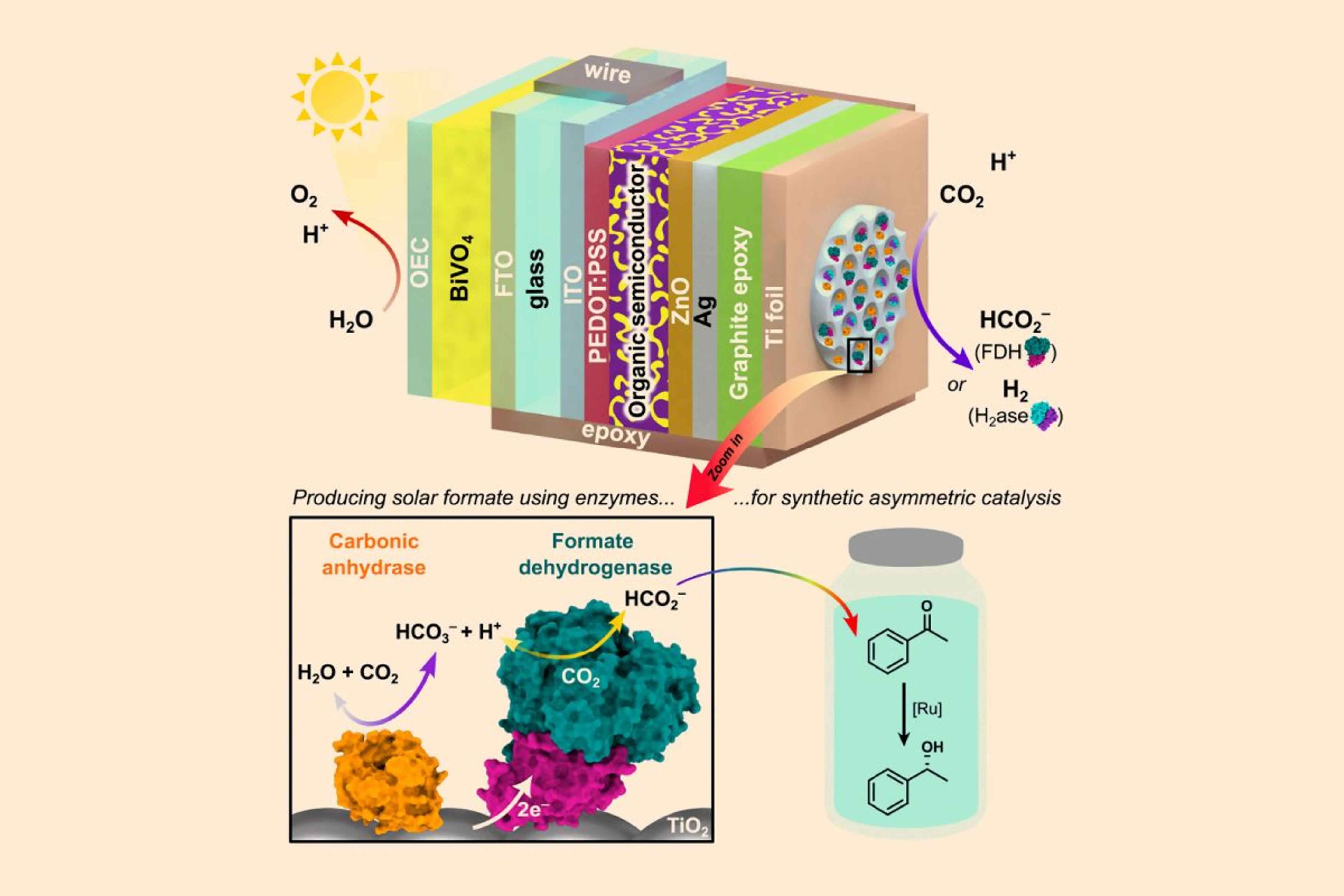 Joule: A Cell Press Journal