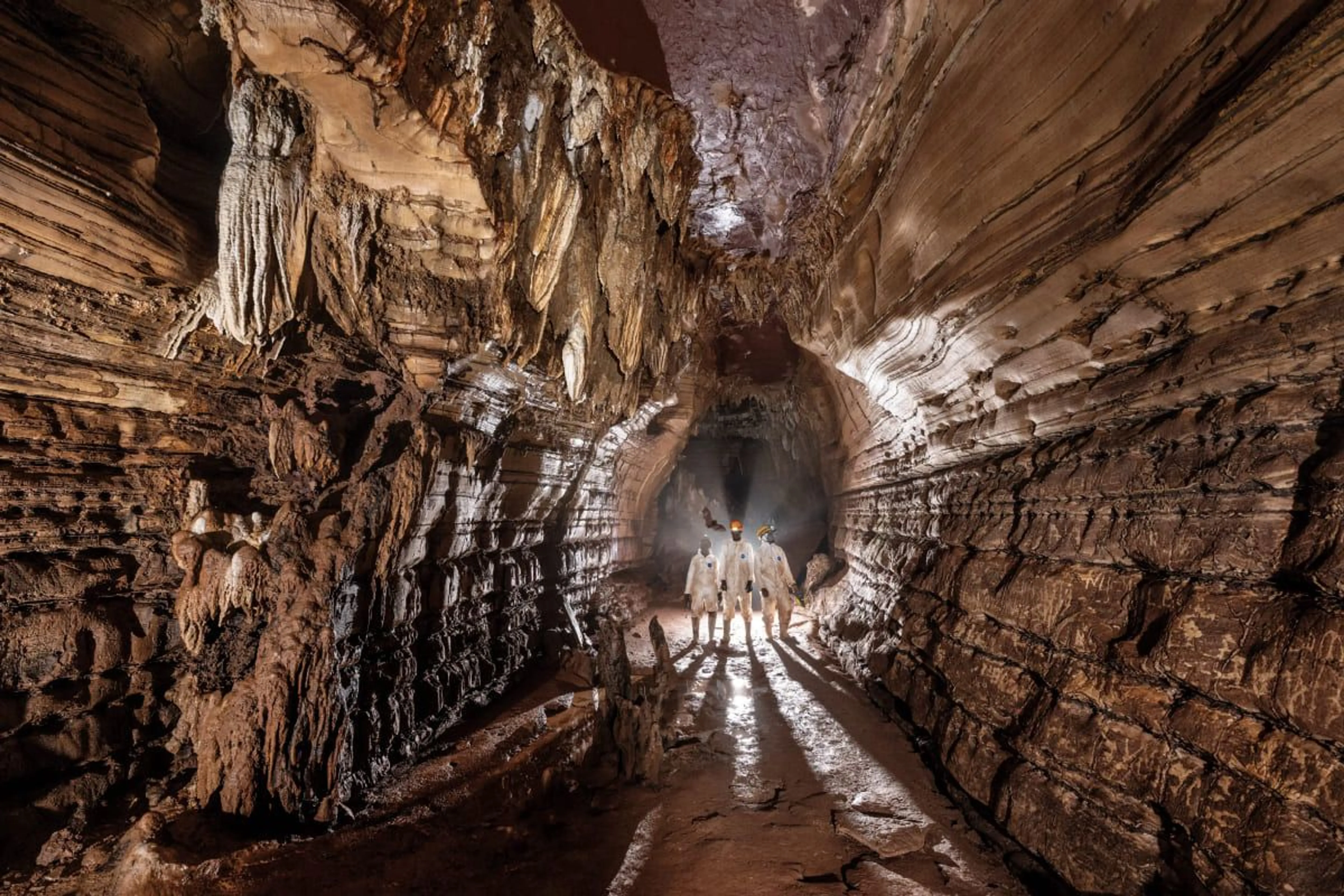 nationalgeographic.com