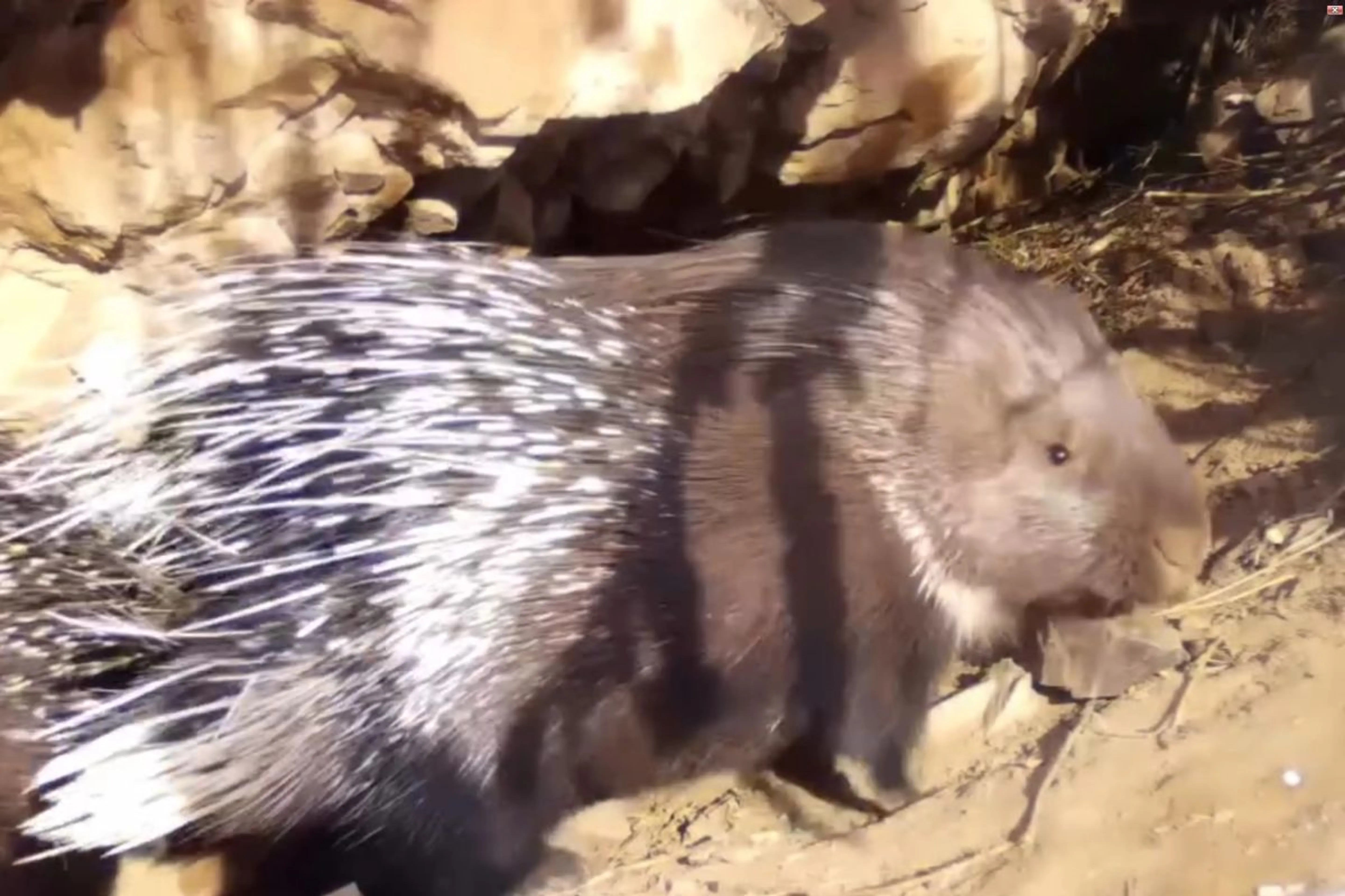 Instagram / ile_alatau_nationalpark