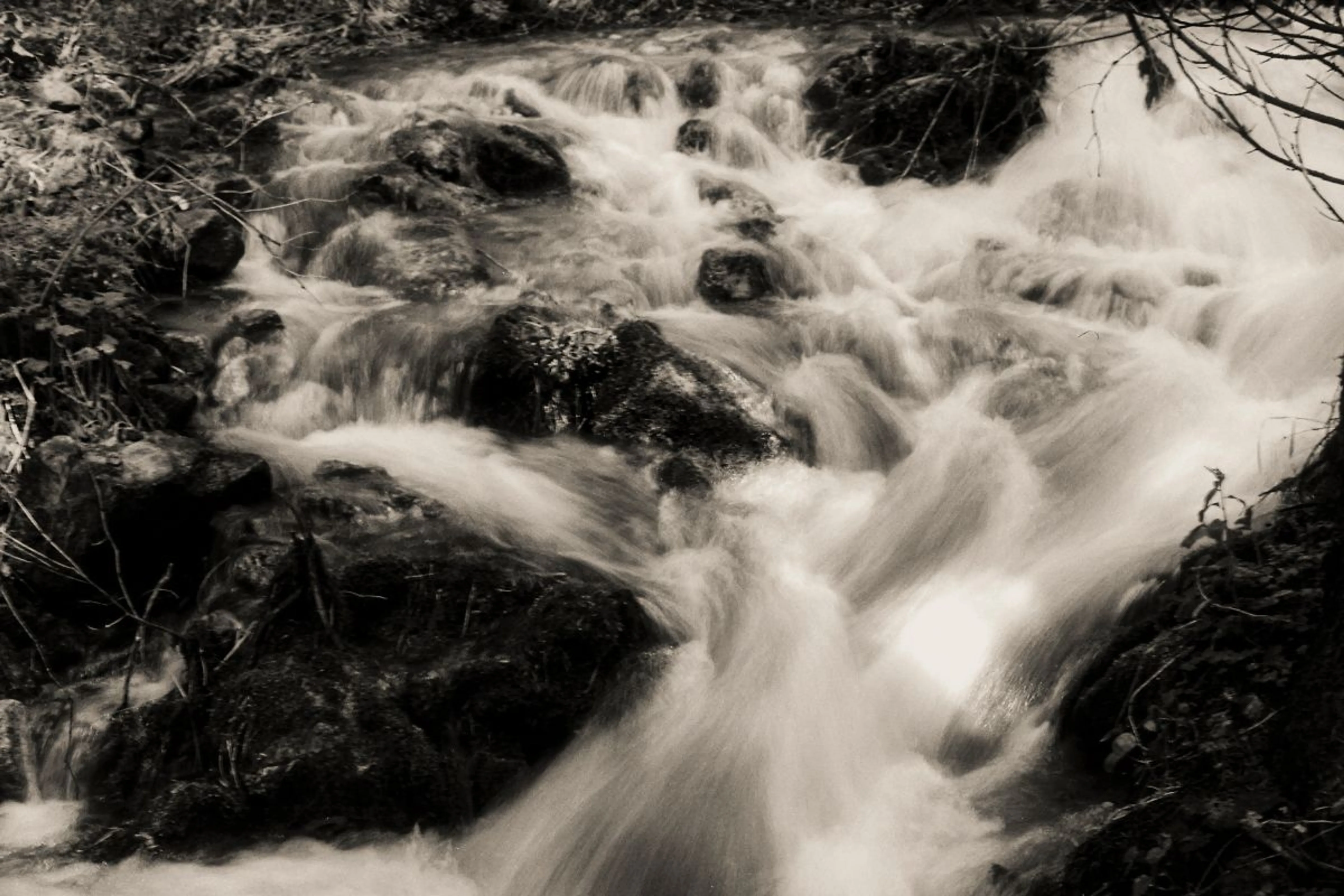 Артемий Матюнин