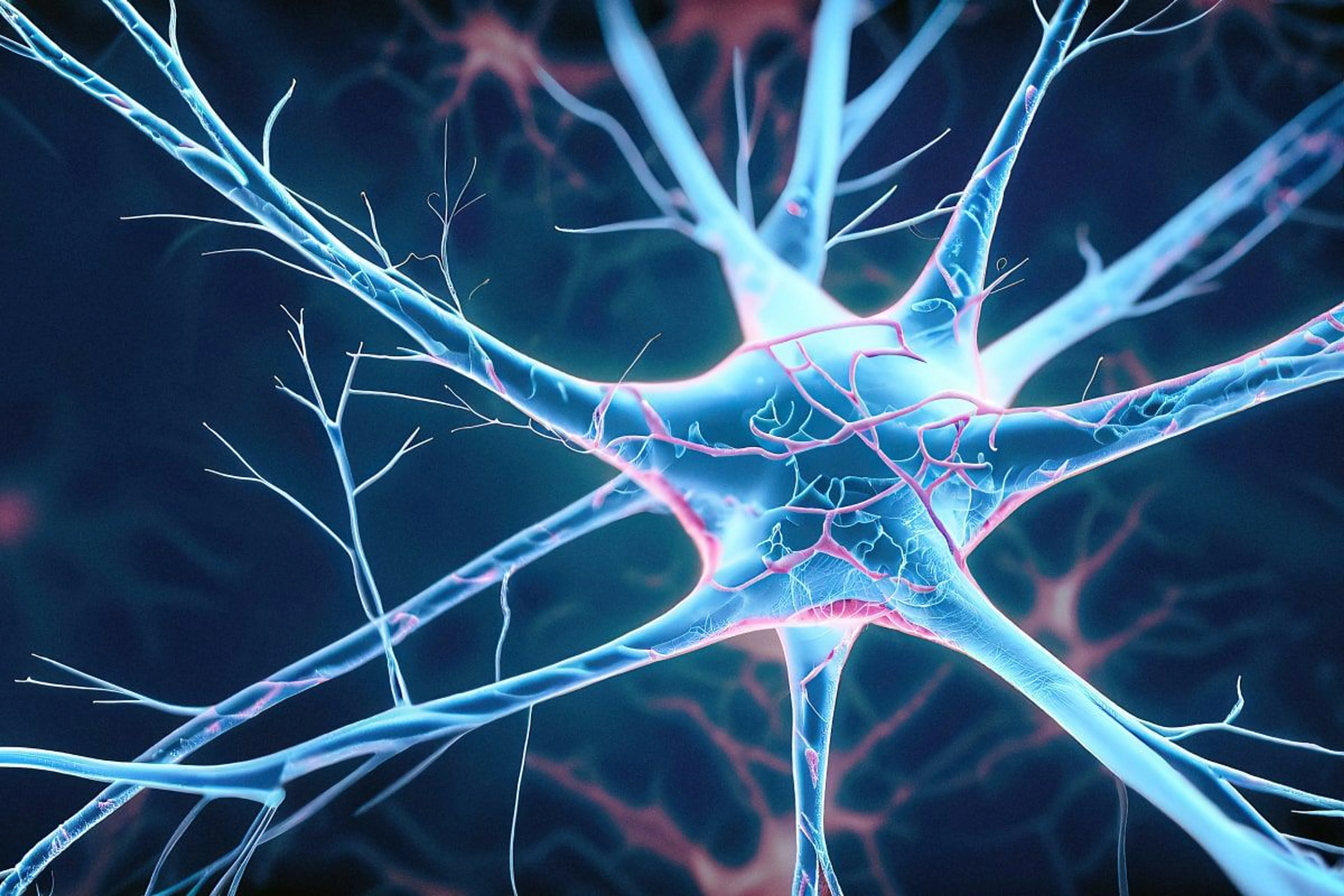 Freepik / user10860774