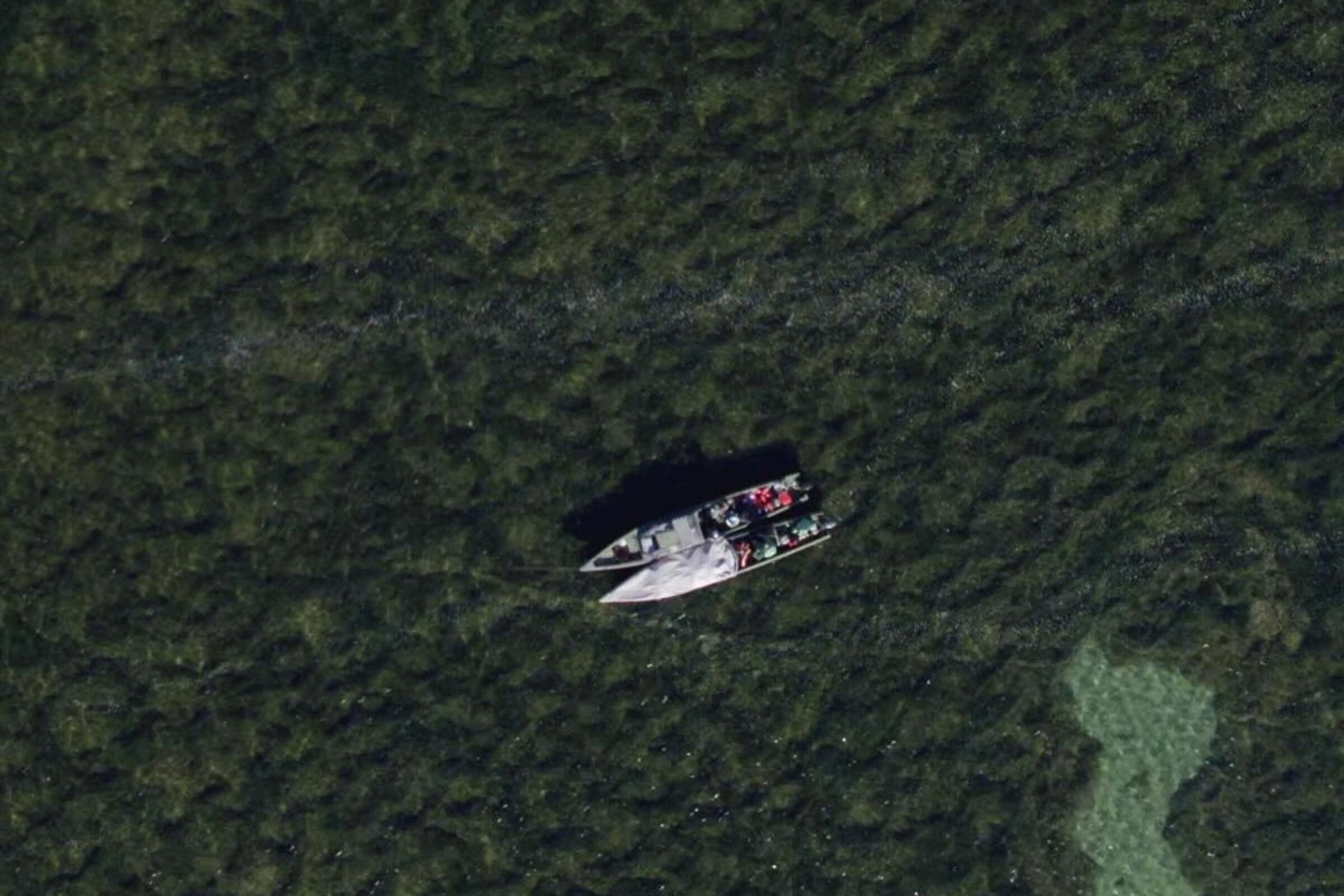 Facebook / Katerina Suvorova&nbsp;