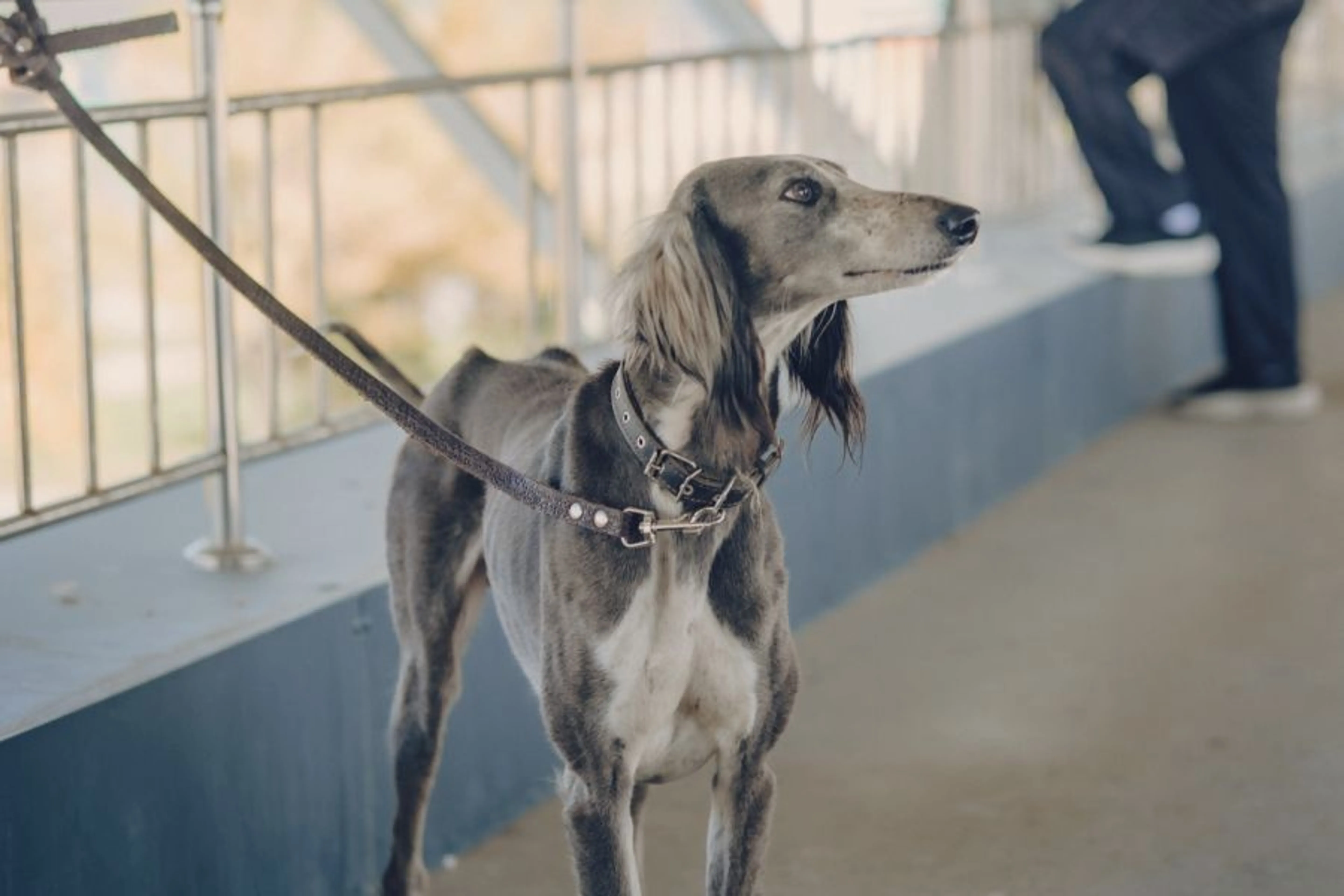 Фото: Владимир Яроцкий