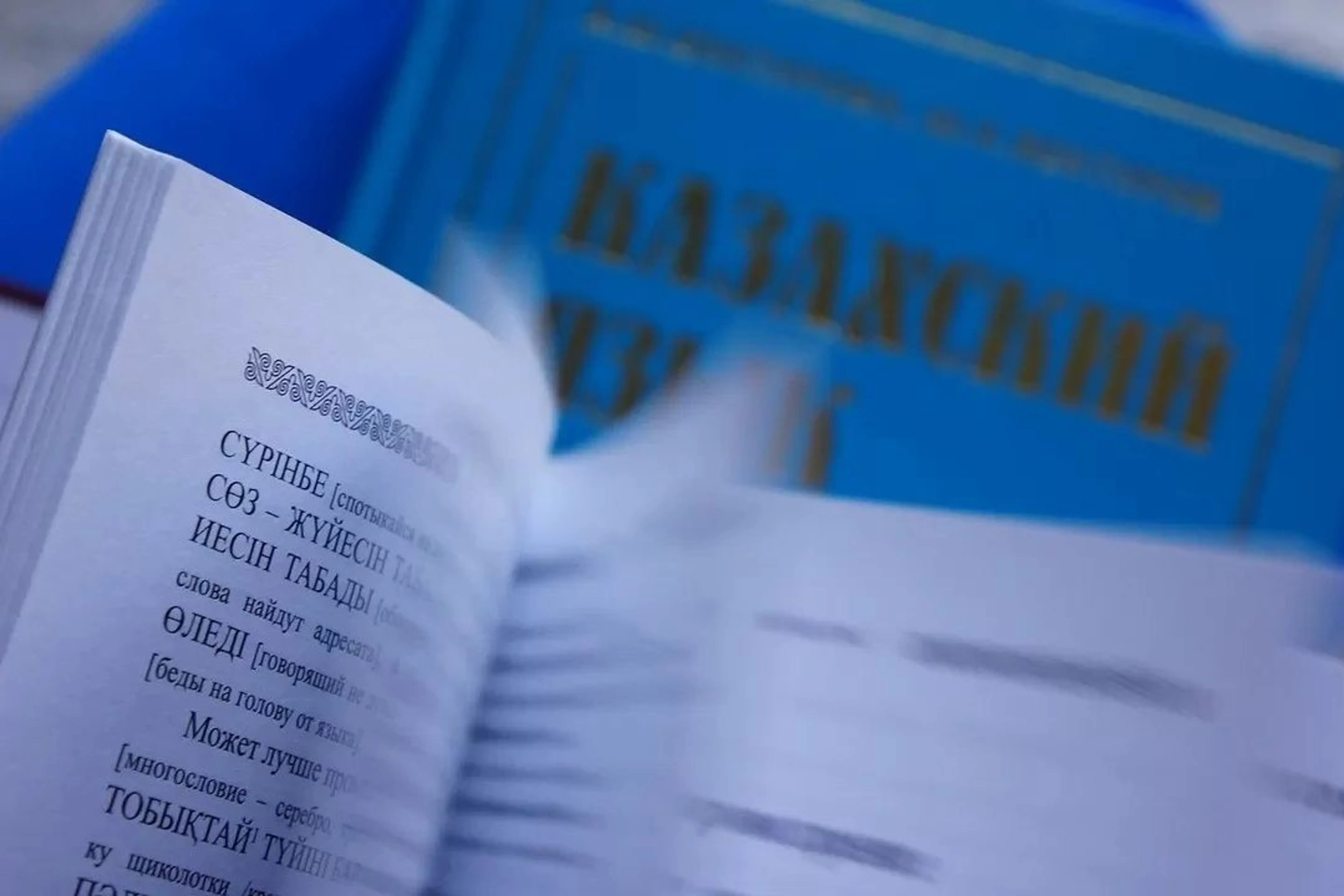 Сколько стоит выучить казахский язык?