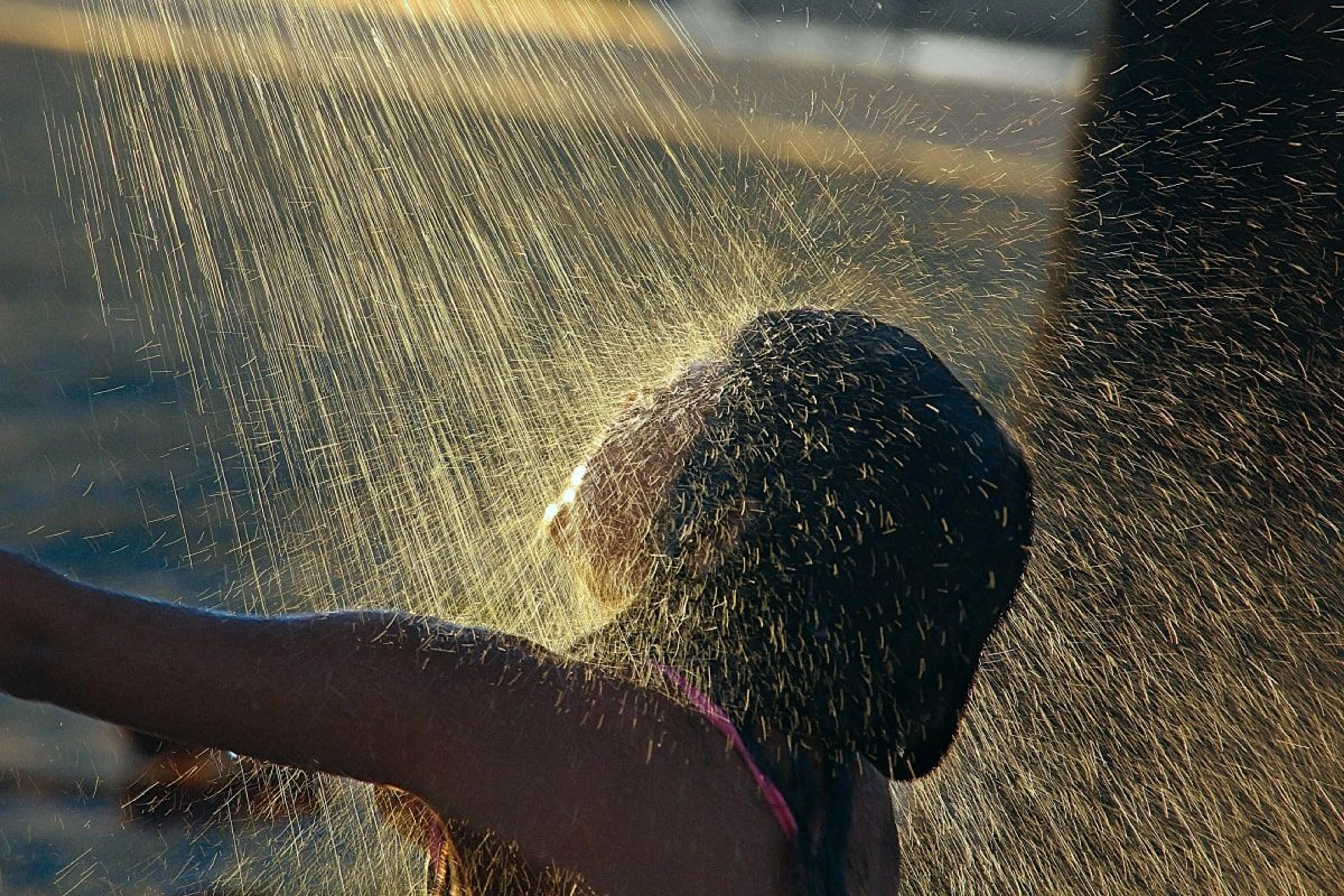 Unsplash / Bill Gullo