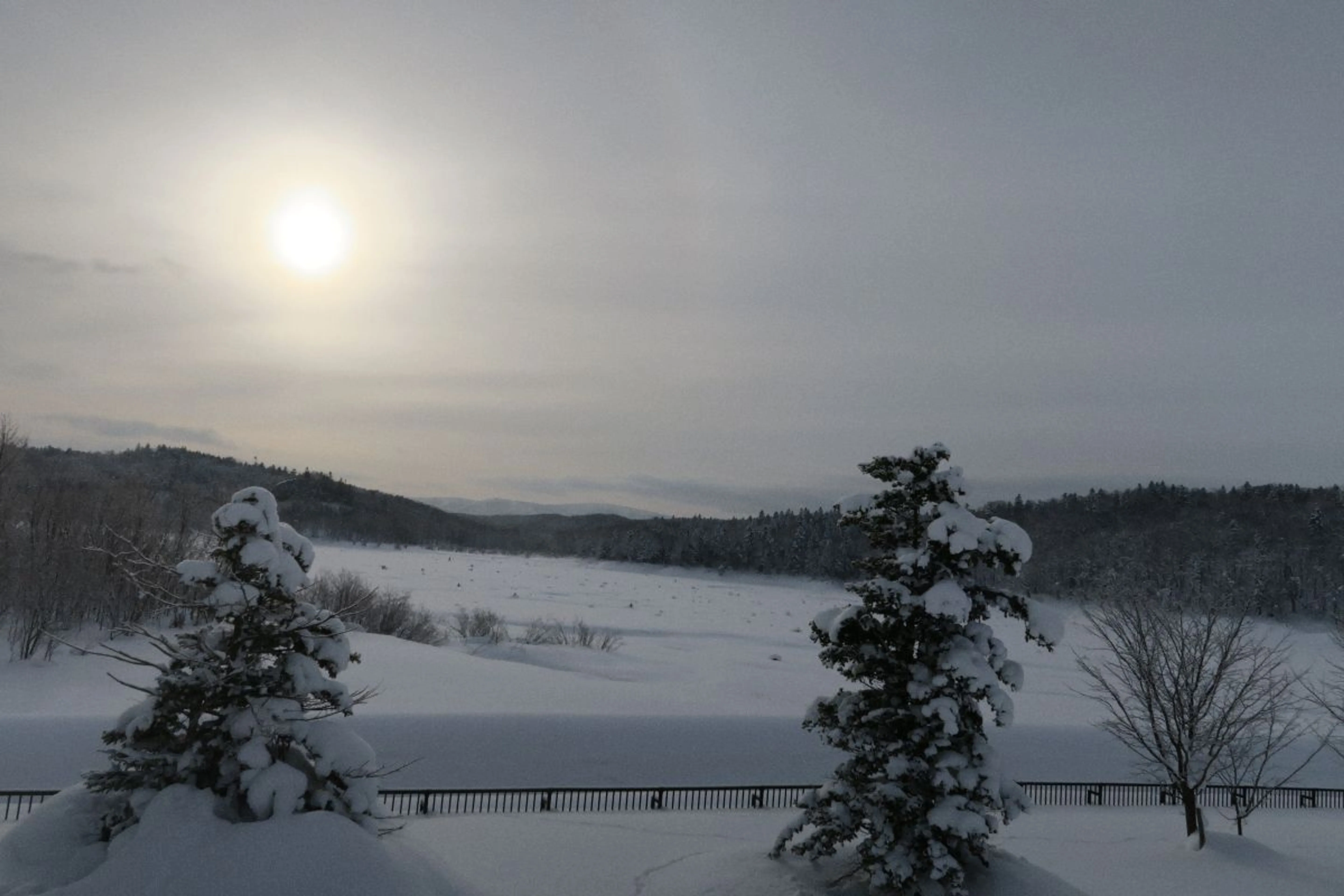 &nbsp;Freepik / EyeEm