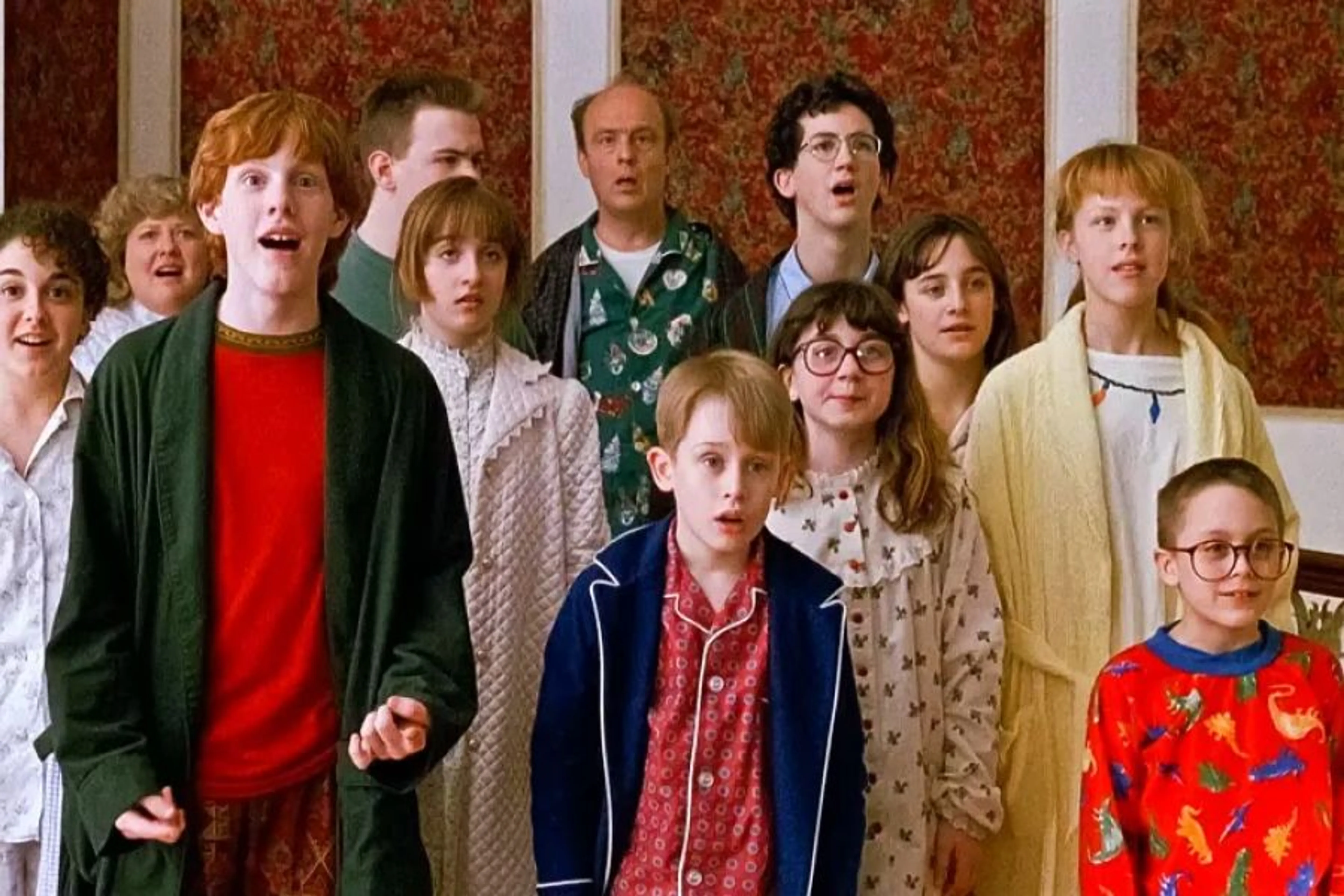 Кадр из фильма “Один дома 2”