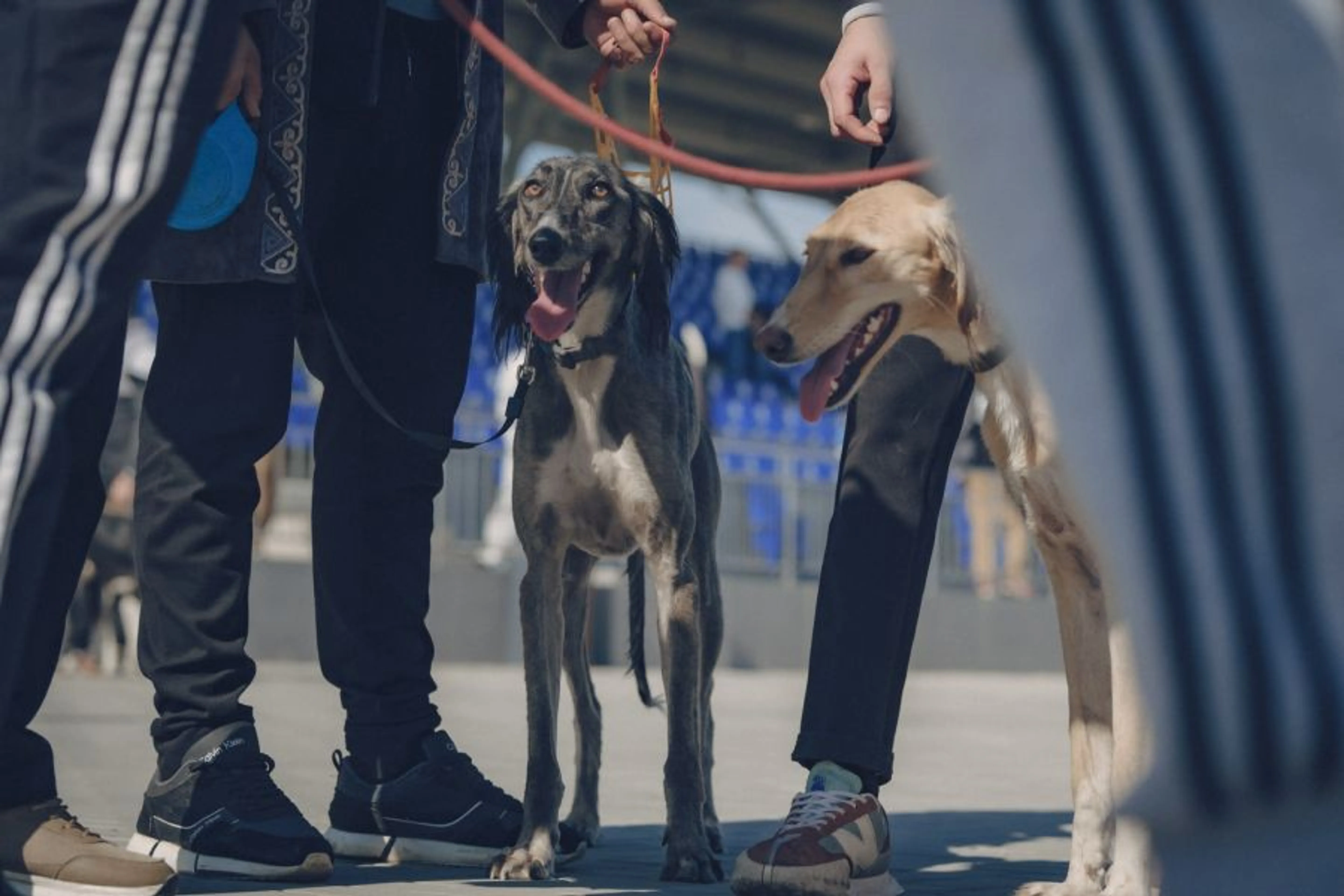 Фото: Владимир Яроцкий