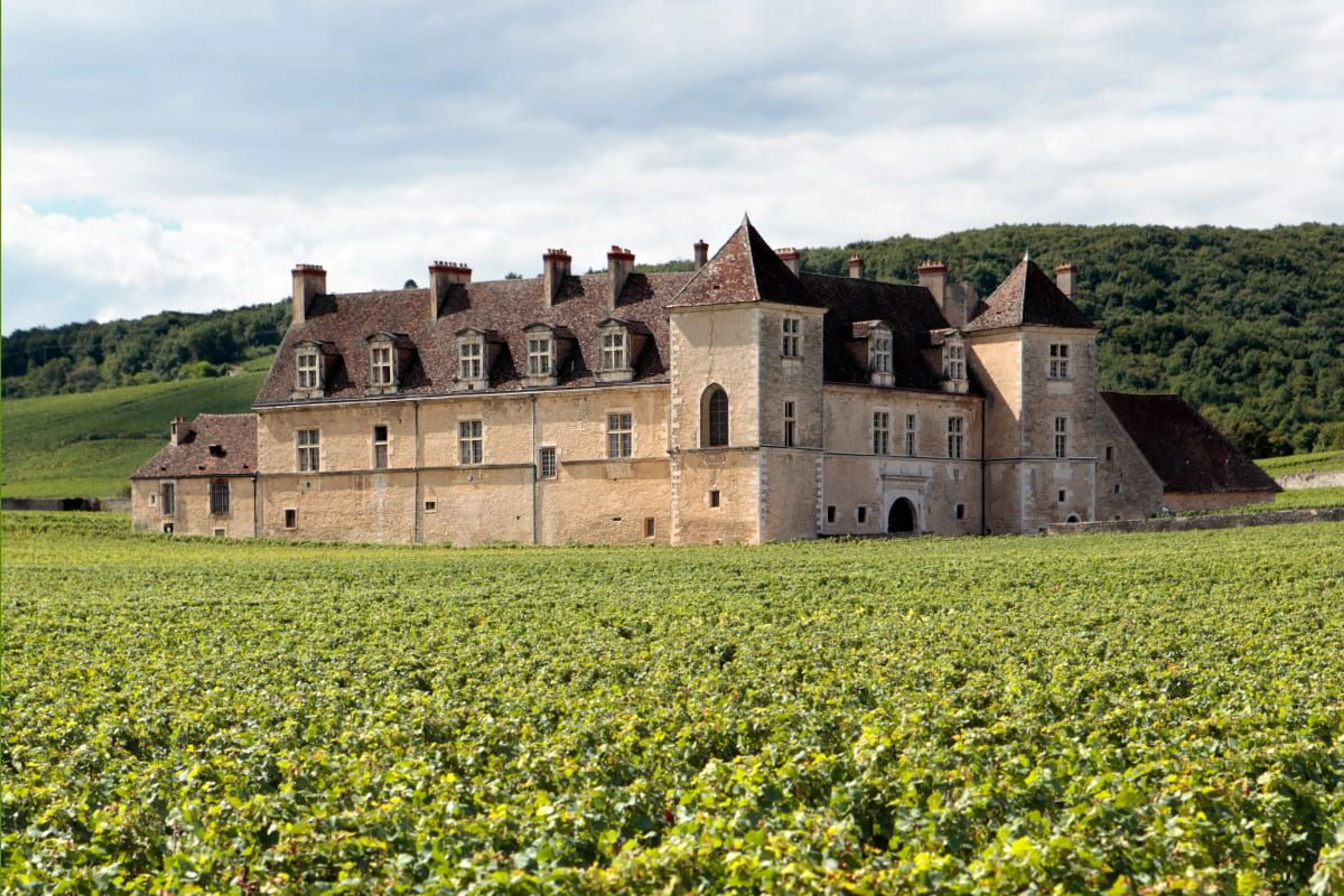 Freepik / kstudio&nbsp;