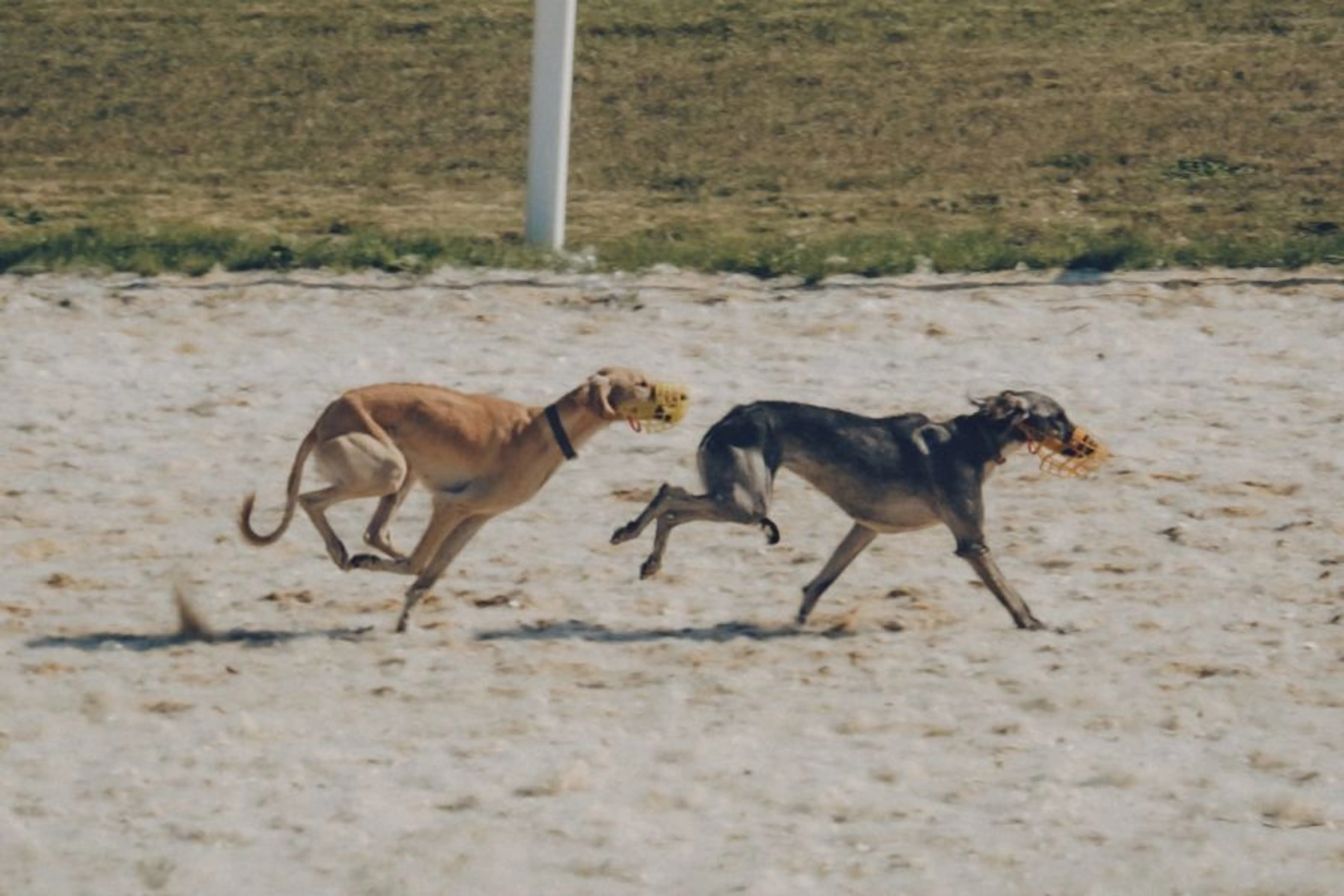 Фото: Владимир Яроцкий