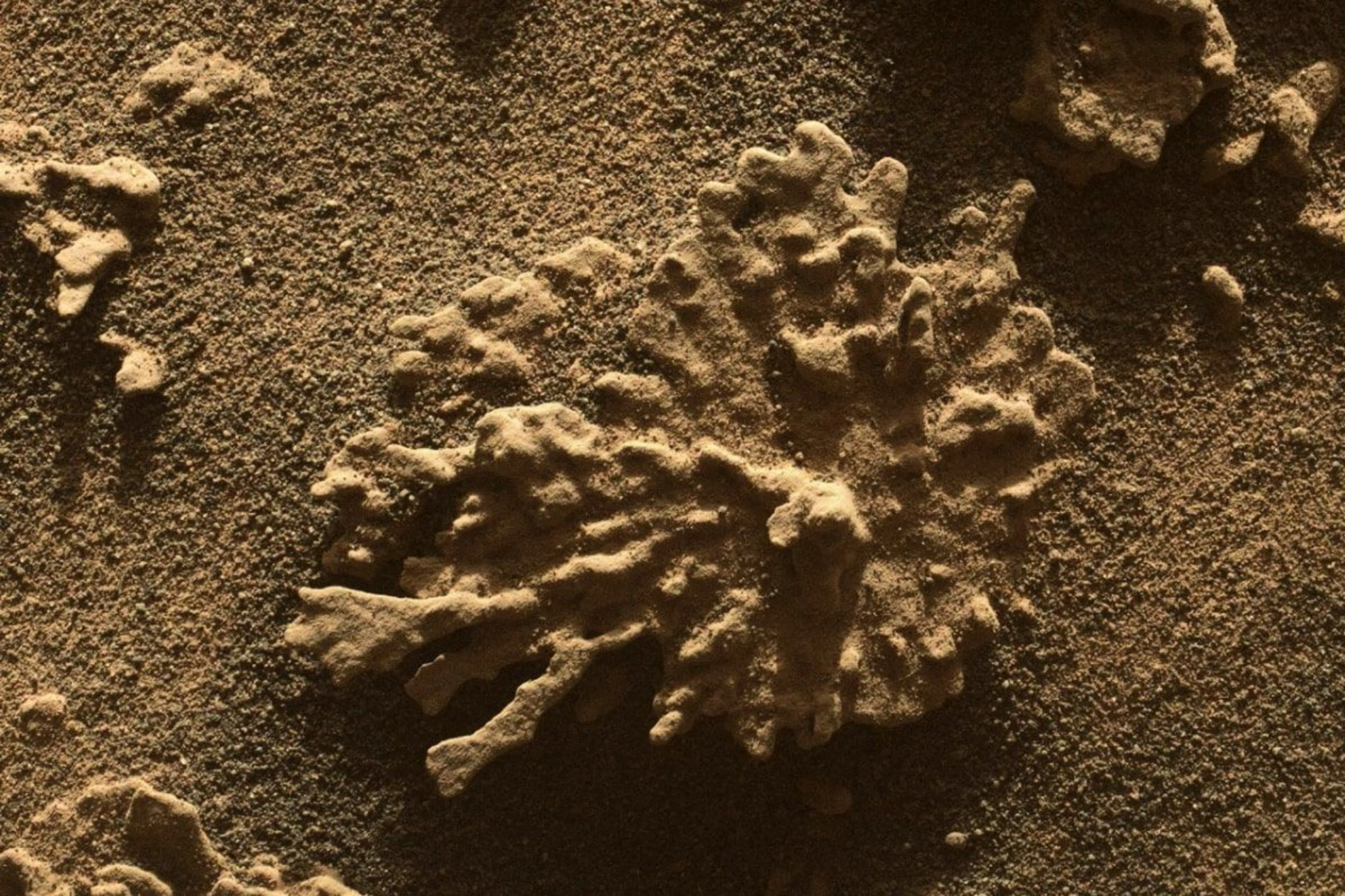 NASA