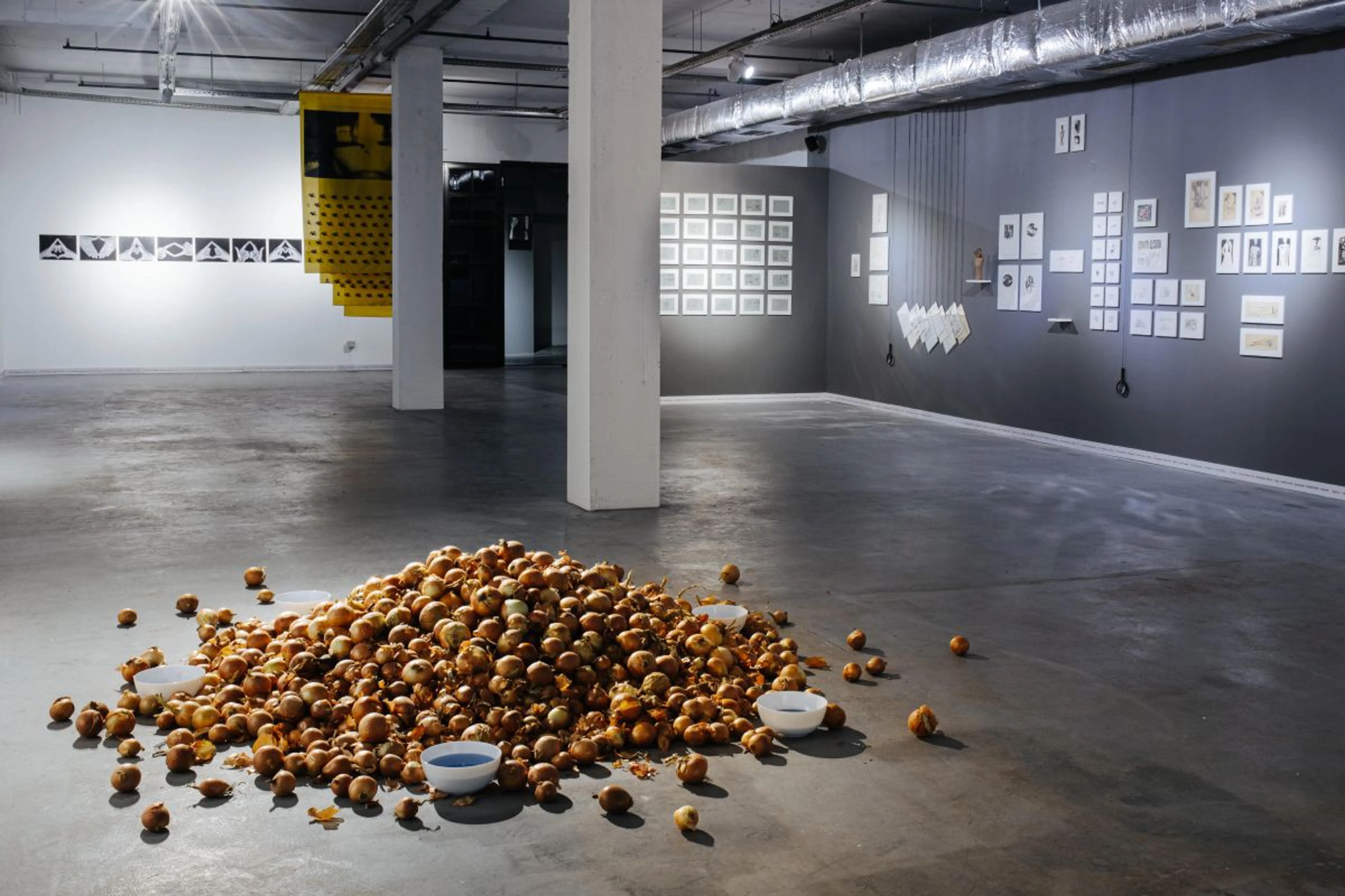 Aspan Gallery