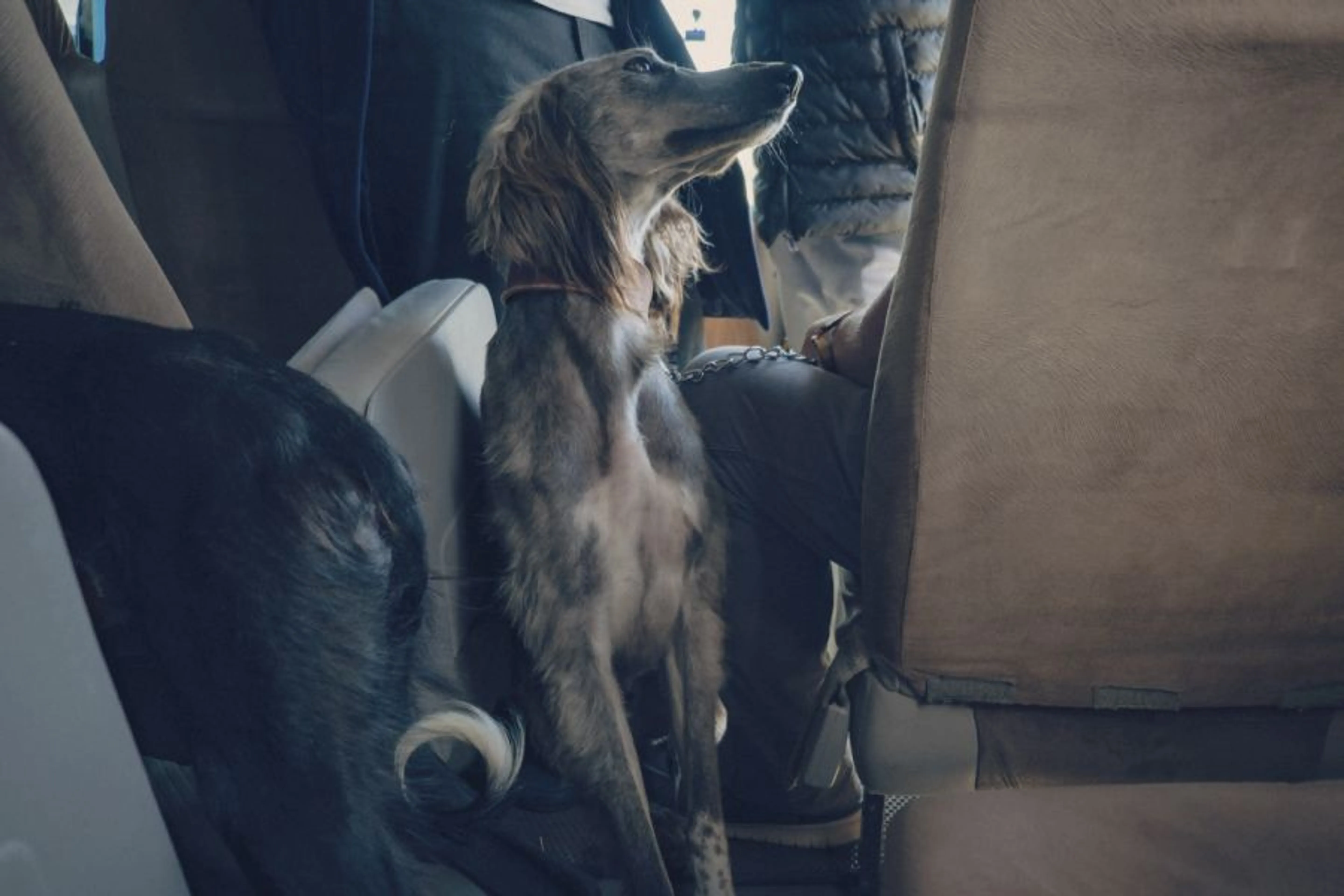 Фото: Владимир Яроцкий