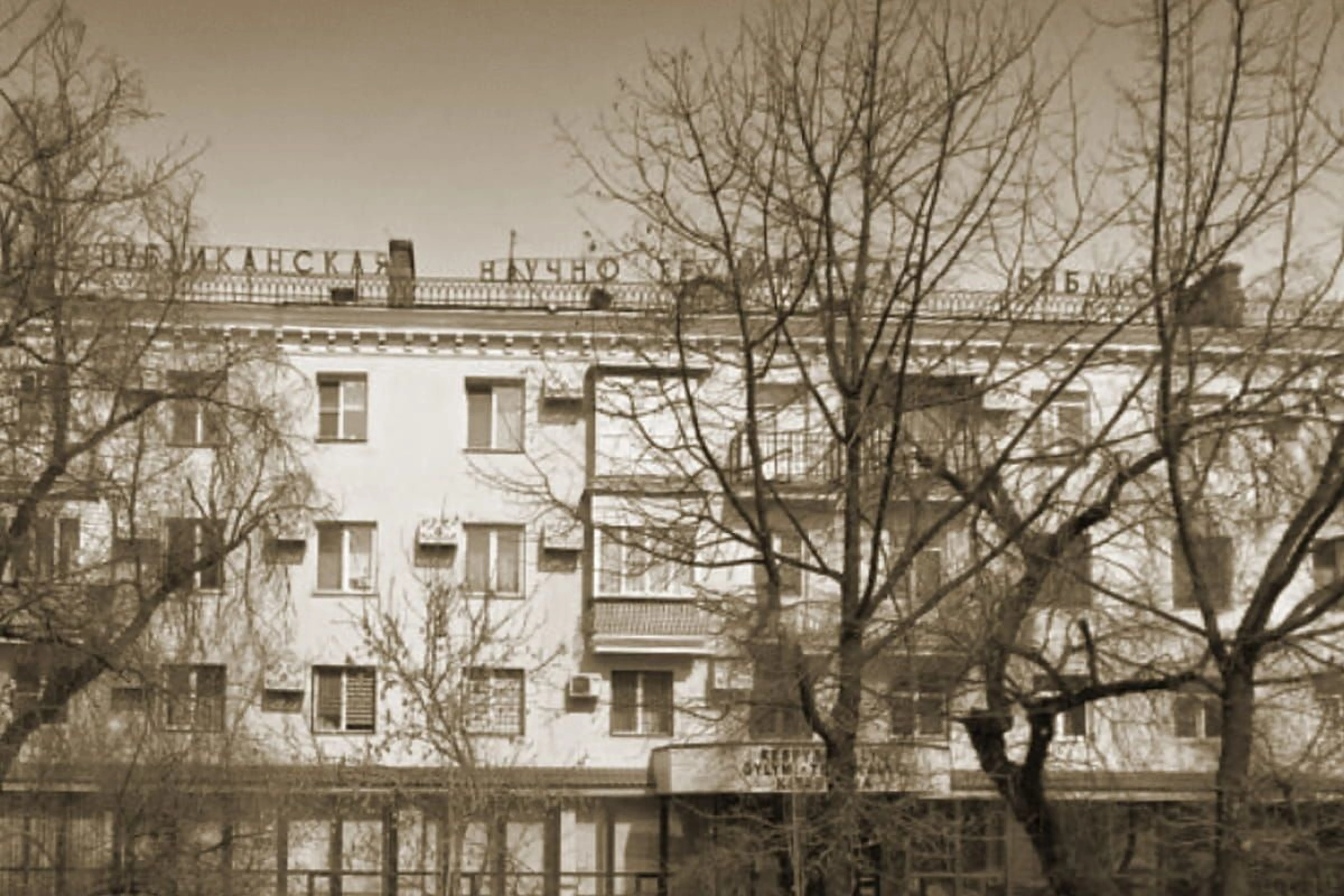 livejournal.com / shamrandy