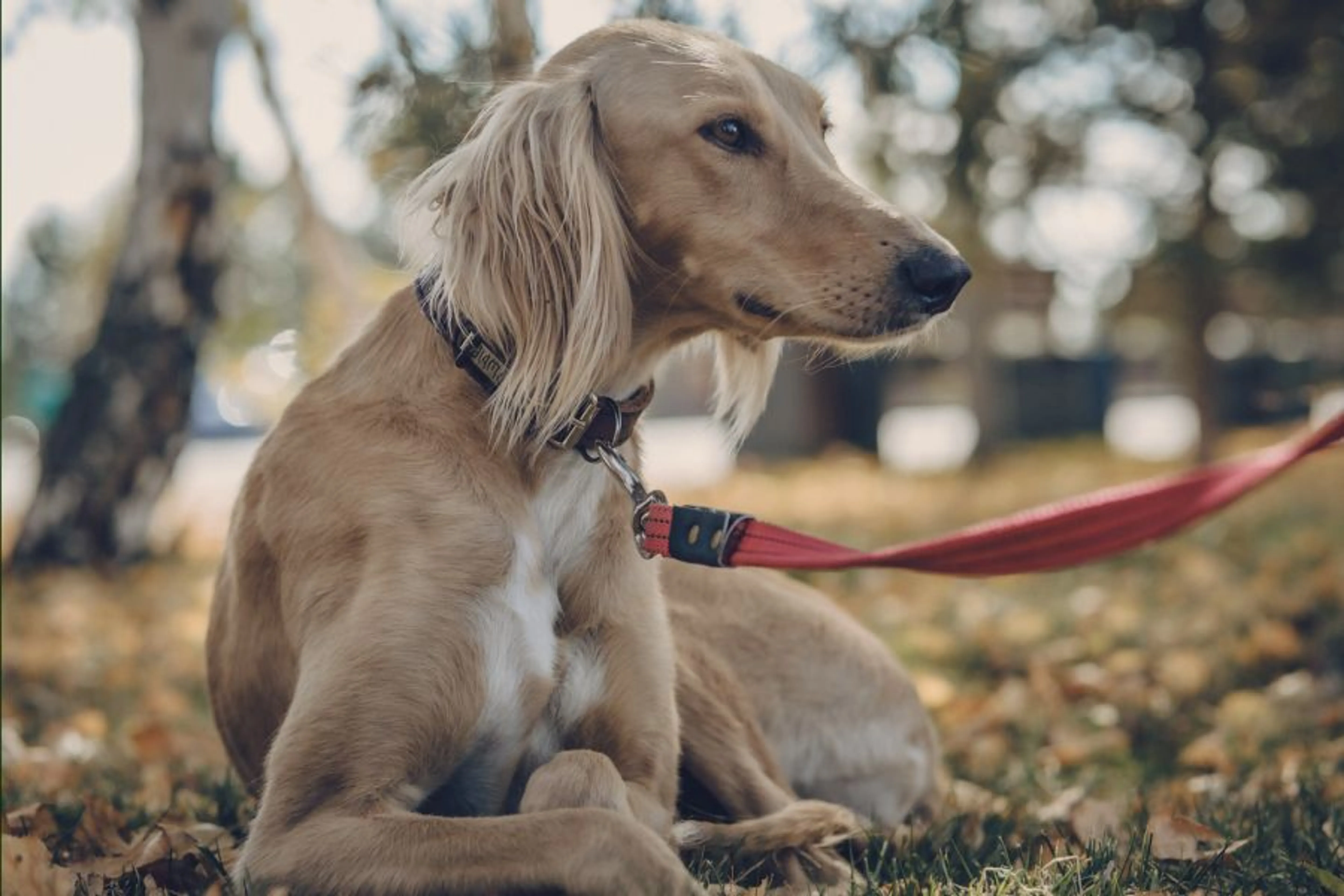 Фото: Владимир Яроцкий