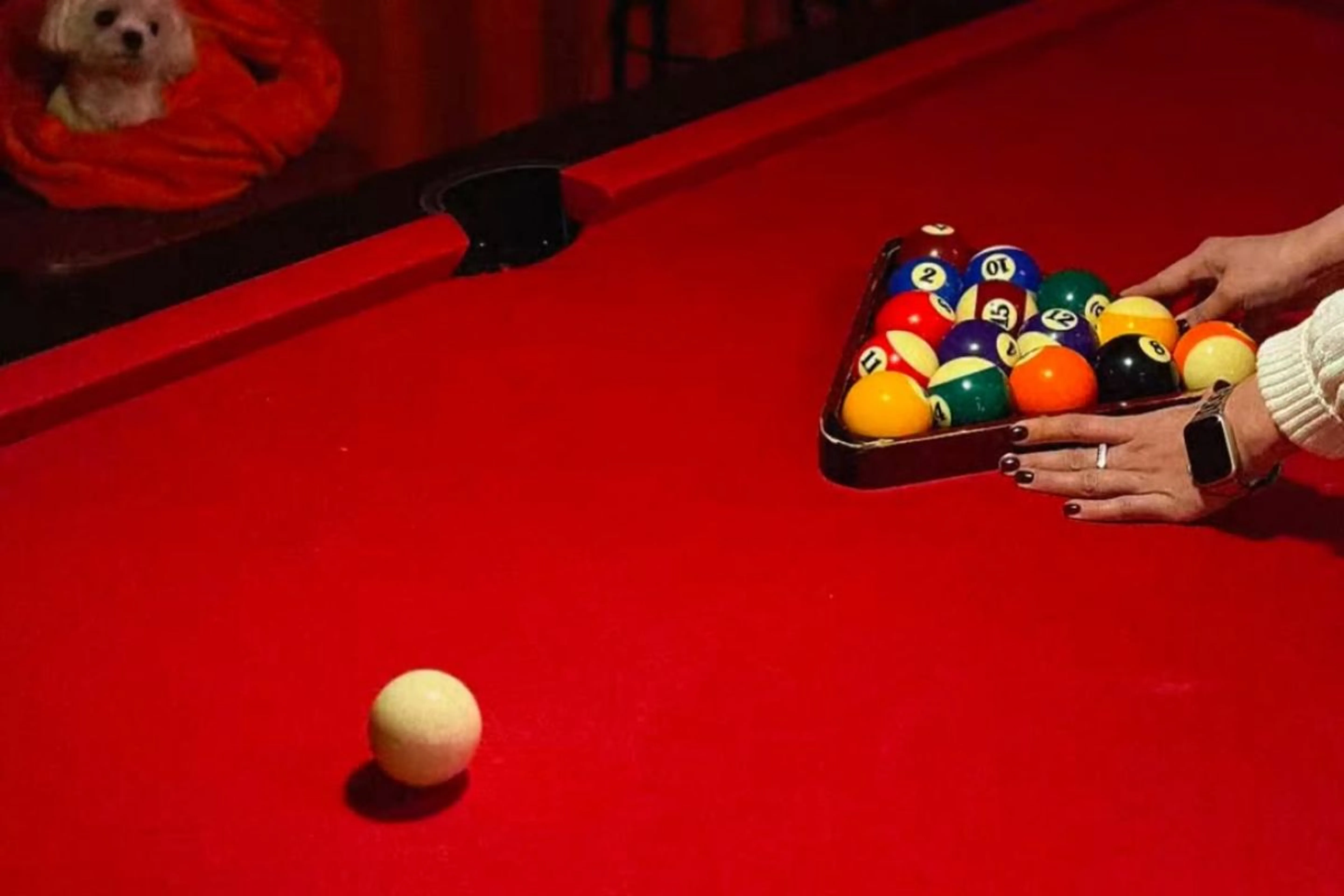 Instagram / poolandbeer.kz&nbsp;