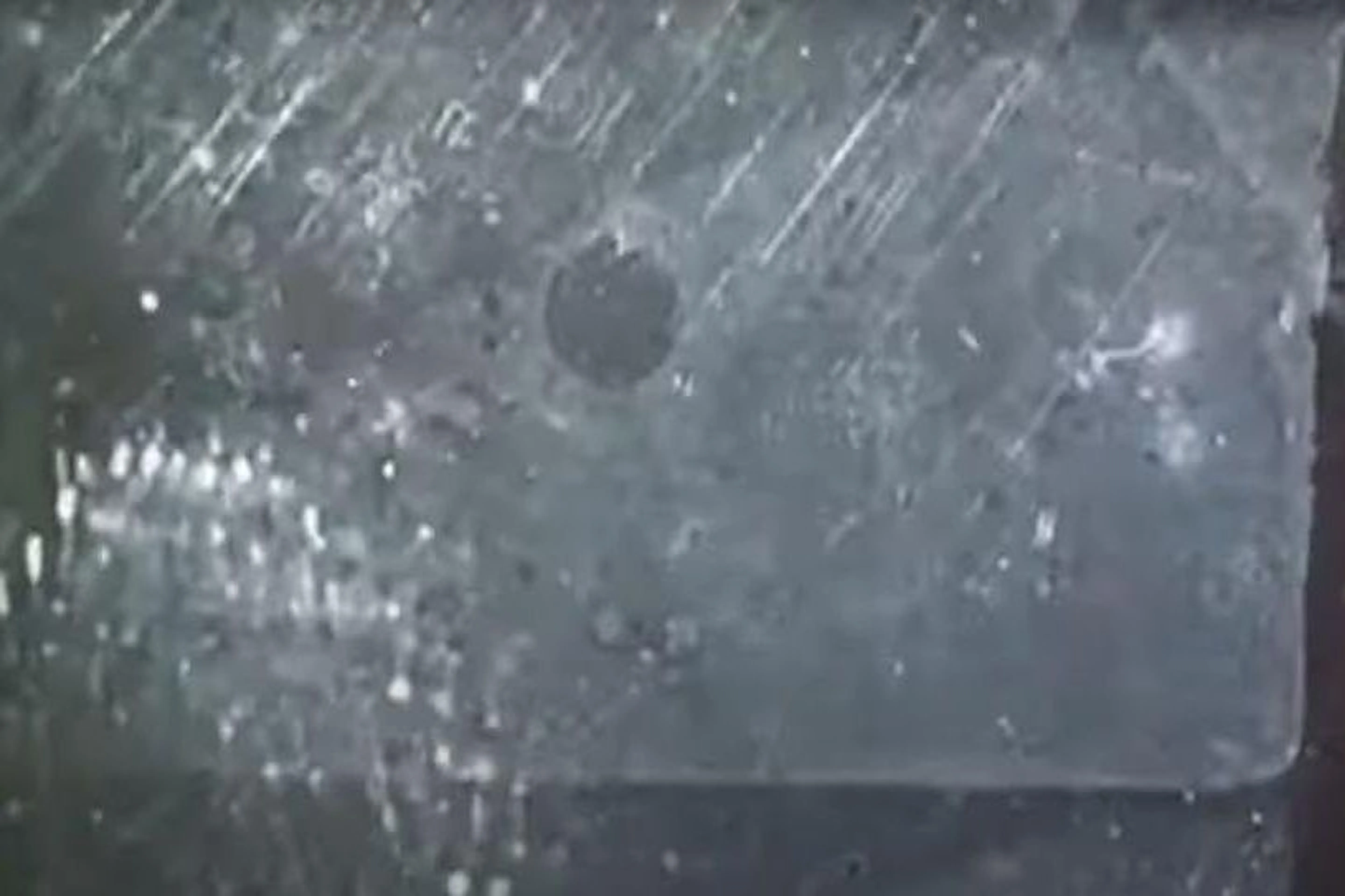 Кадр из фильма "Транзит Венеры"