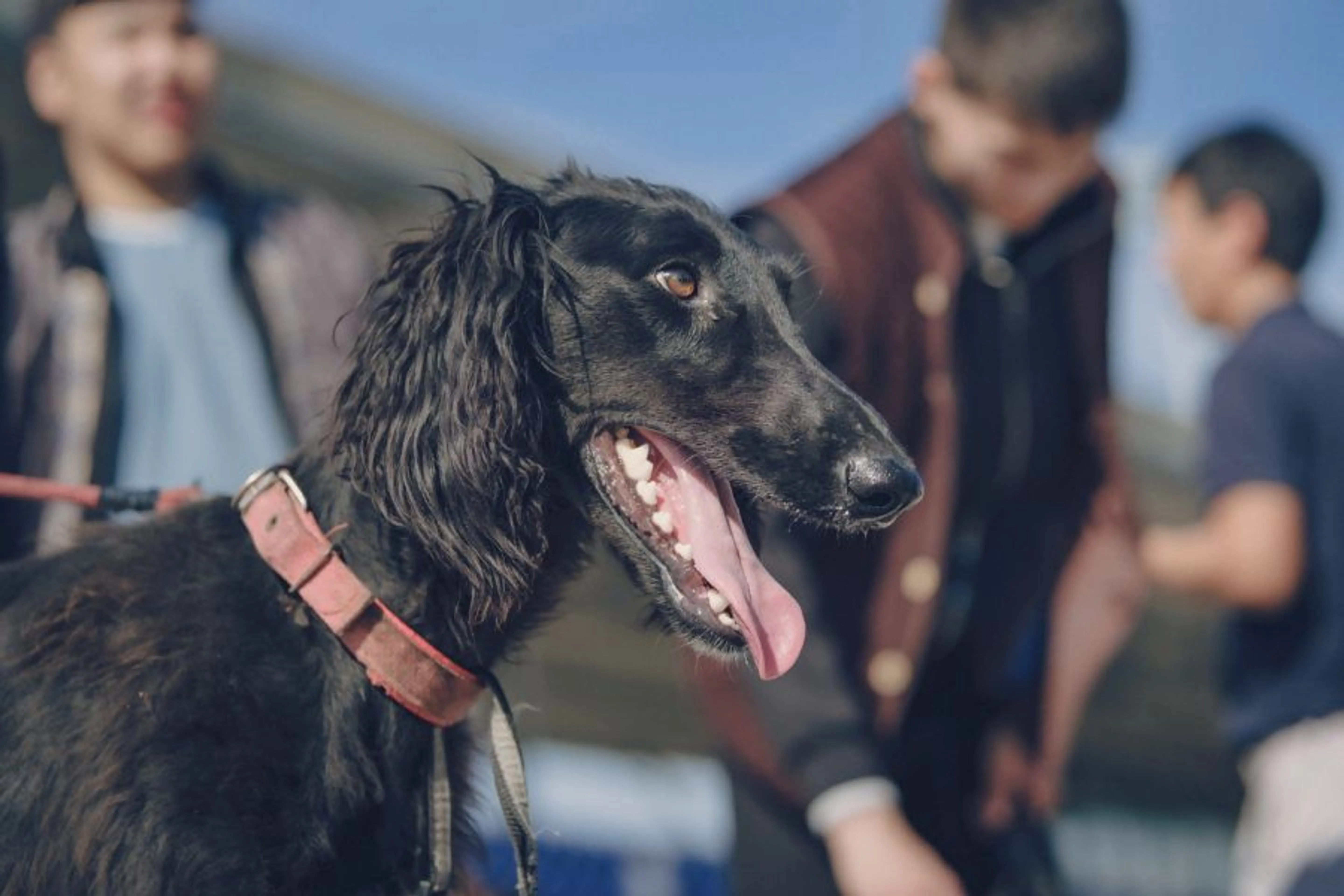 Фото: Владимир Яроцкий