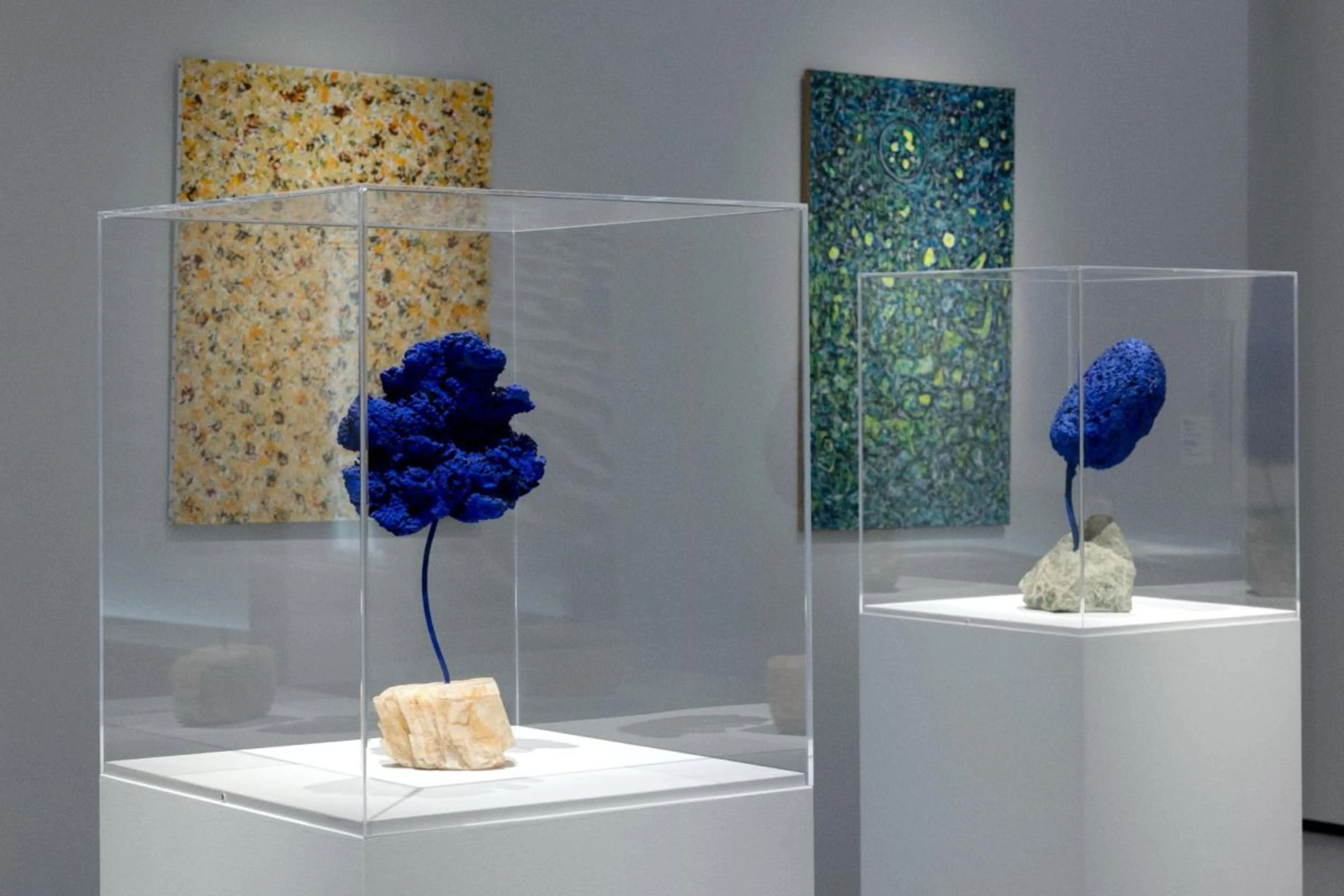 Instagram / yvesklein_archives