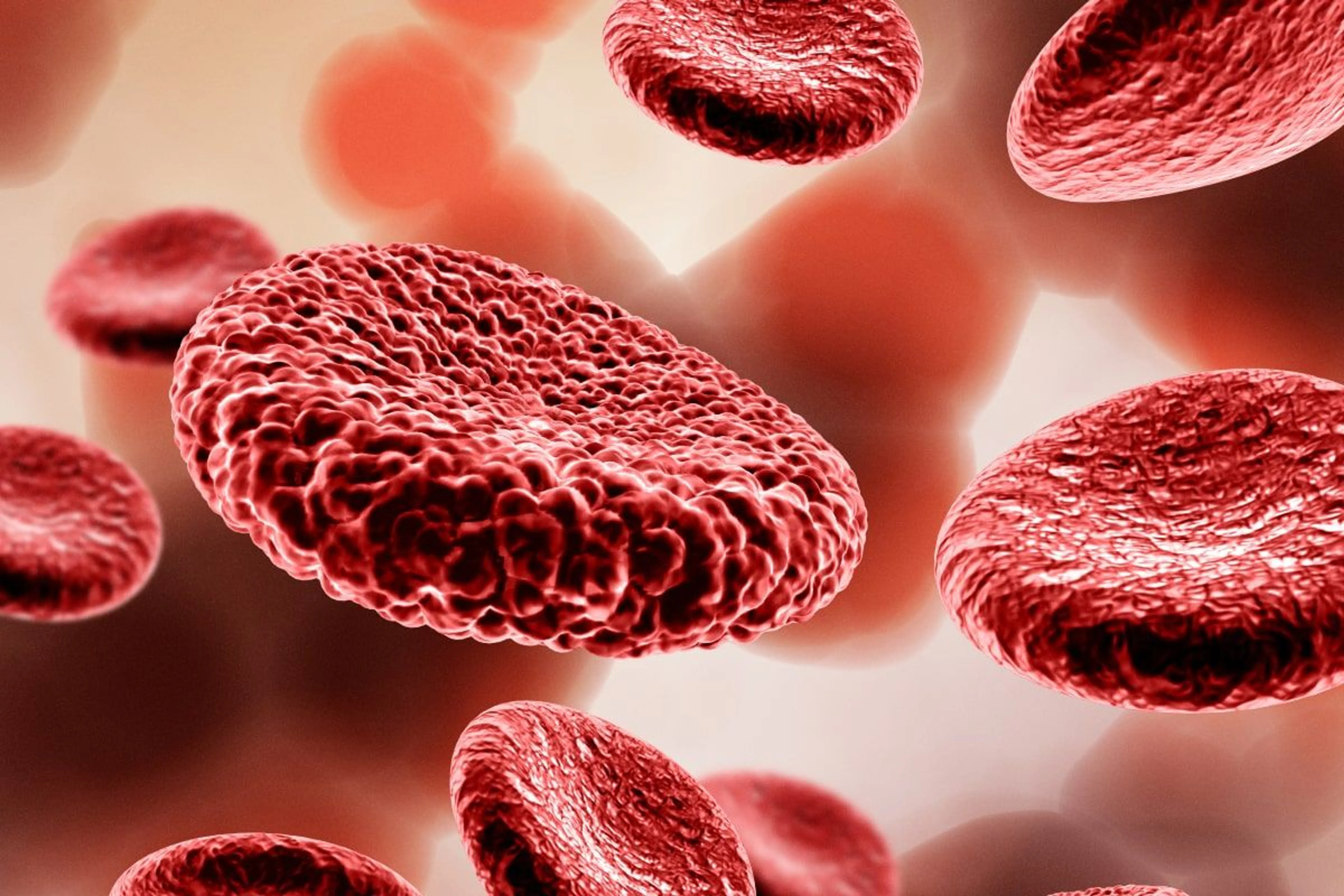 Freepik / ROKA Creative