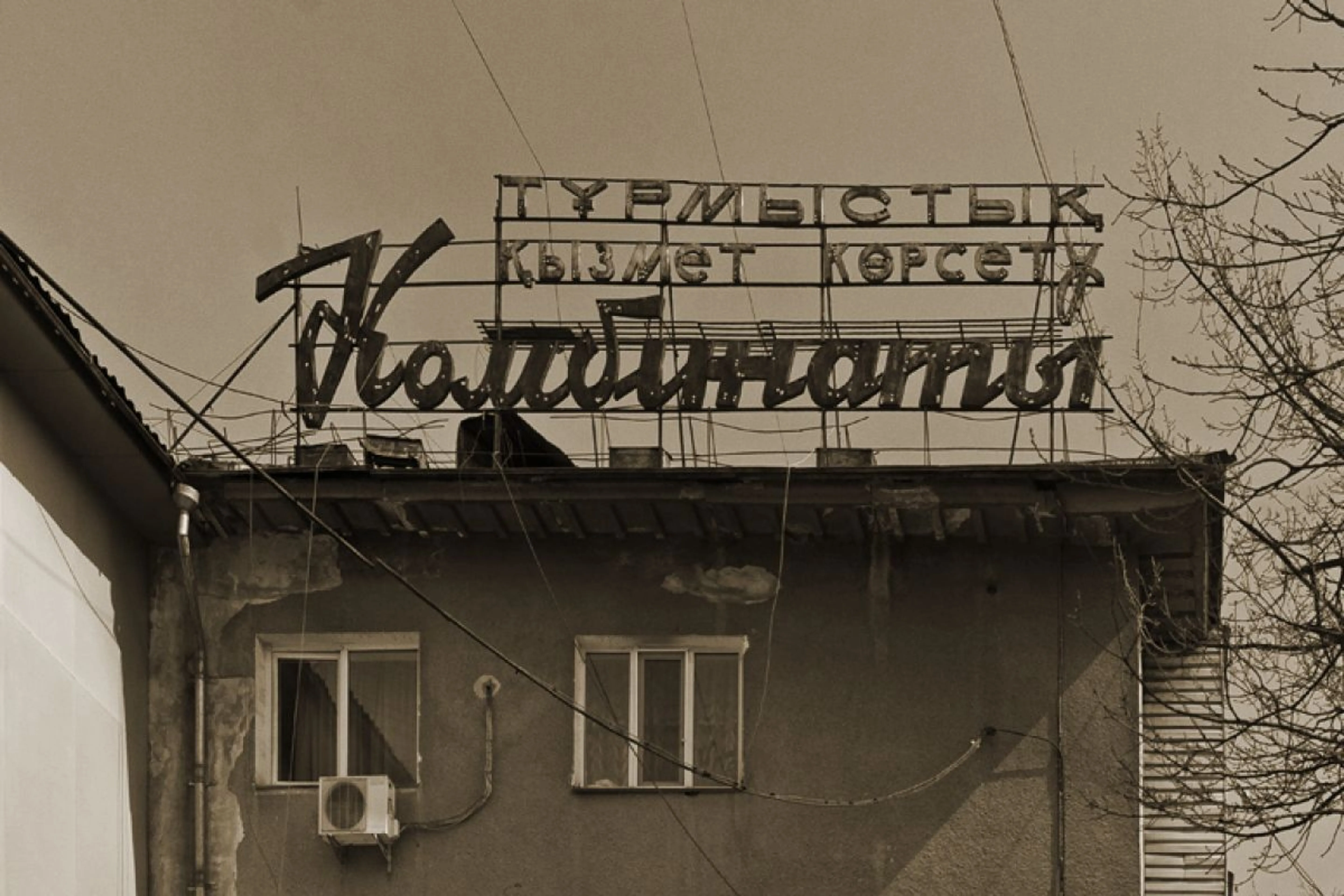 livejournal.com / shamrandy