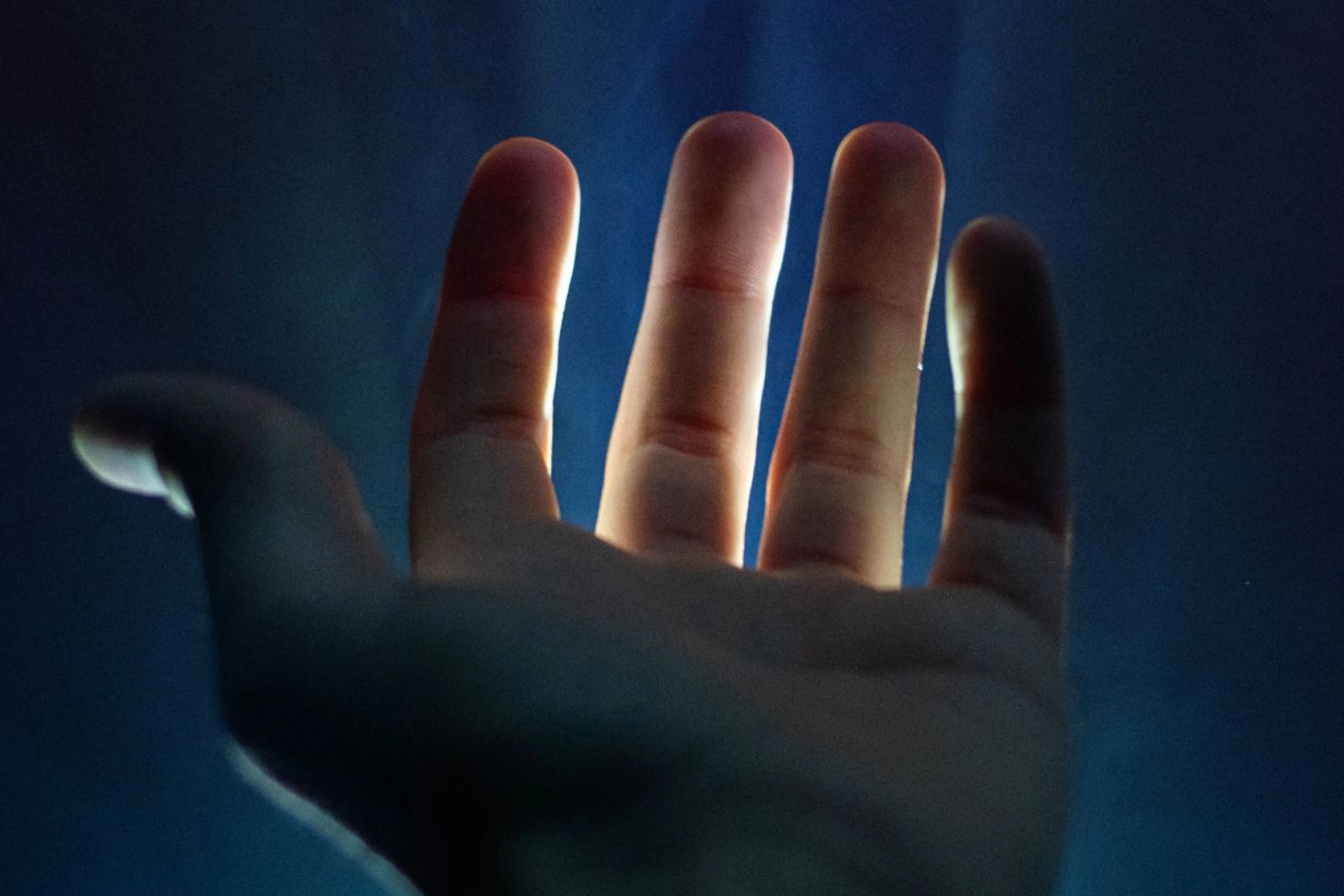 Ладонь вместо PIN-кода: что не так с биометрией платежей