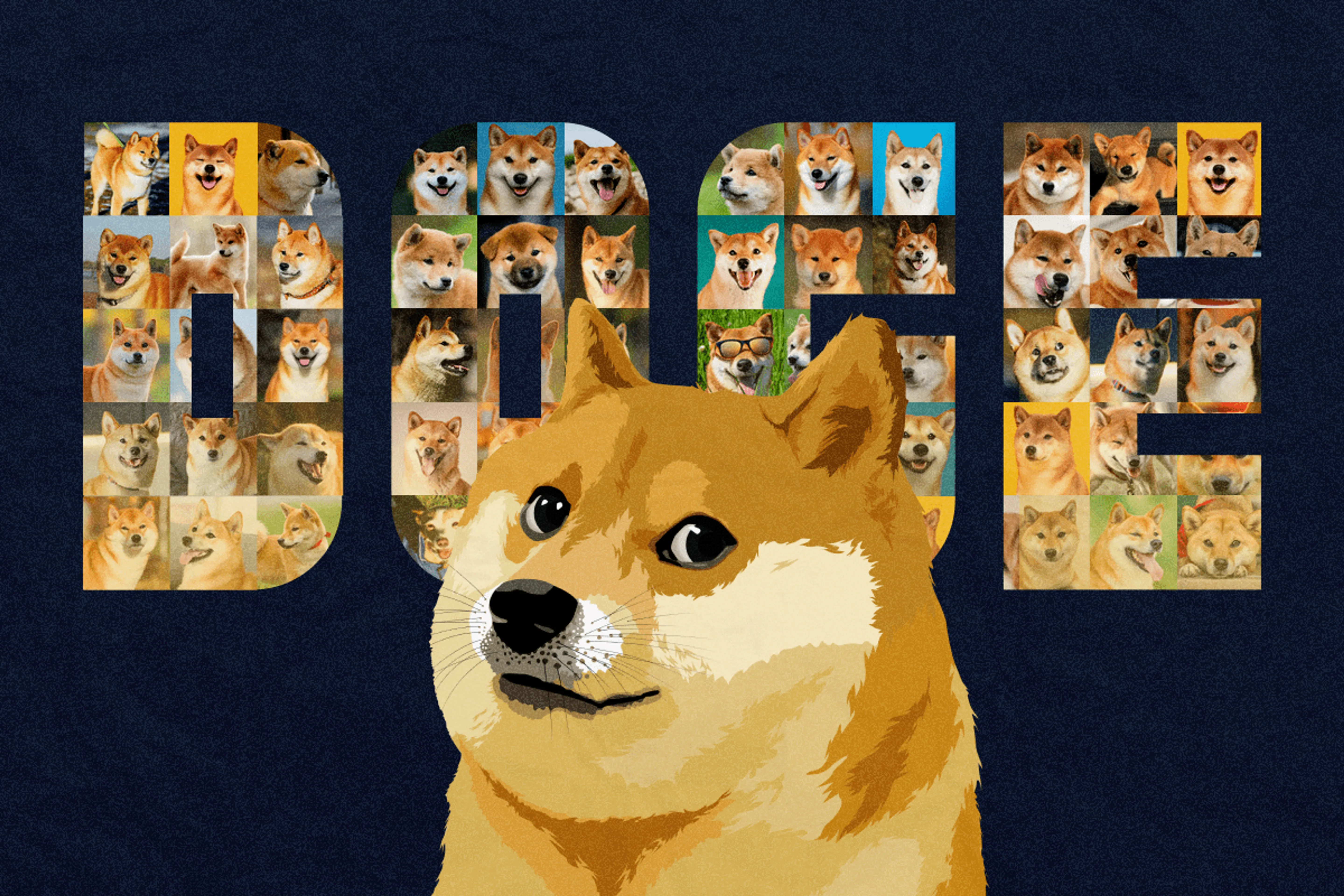 dogecoin.com