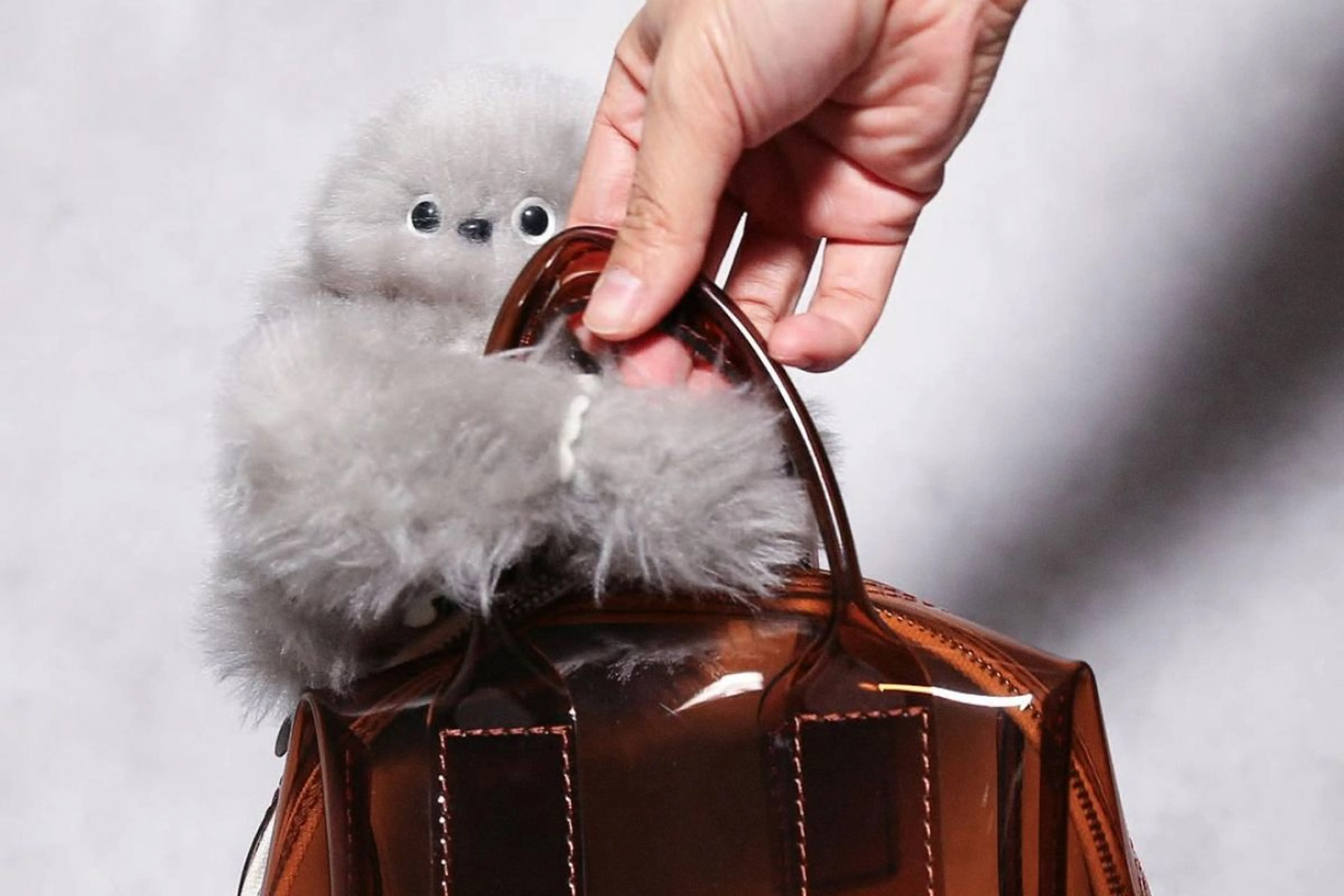 Instagram / mirumi_tokyo&nbsp;