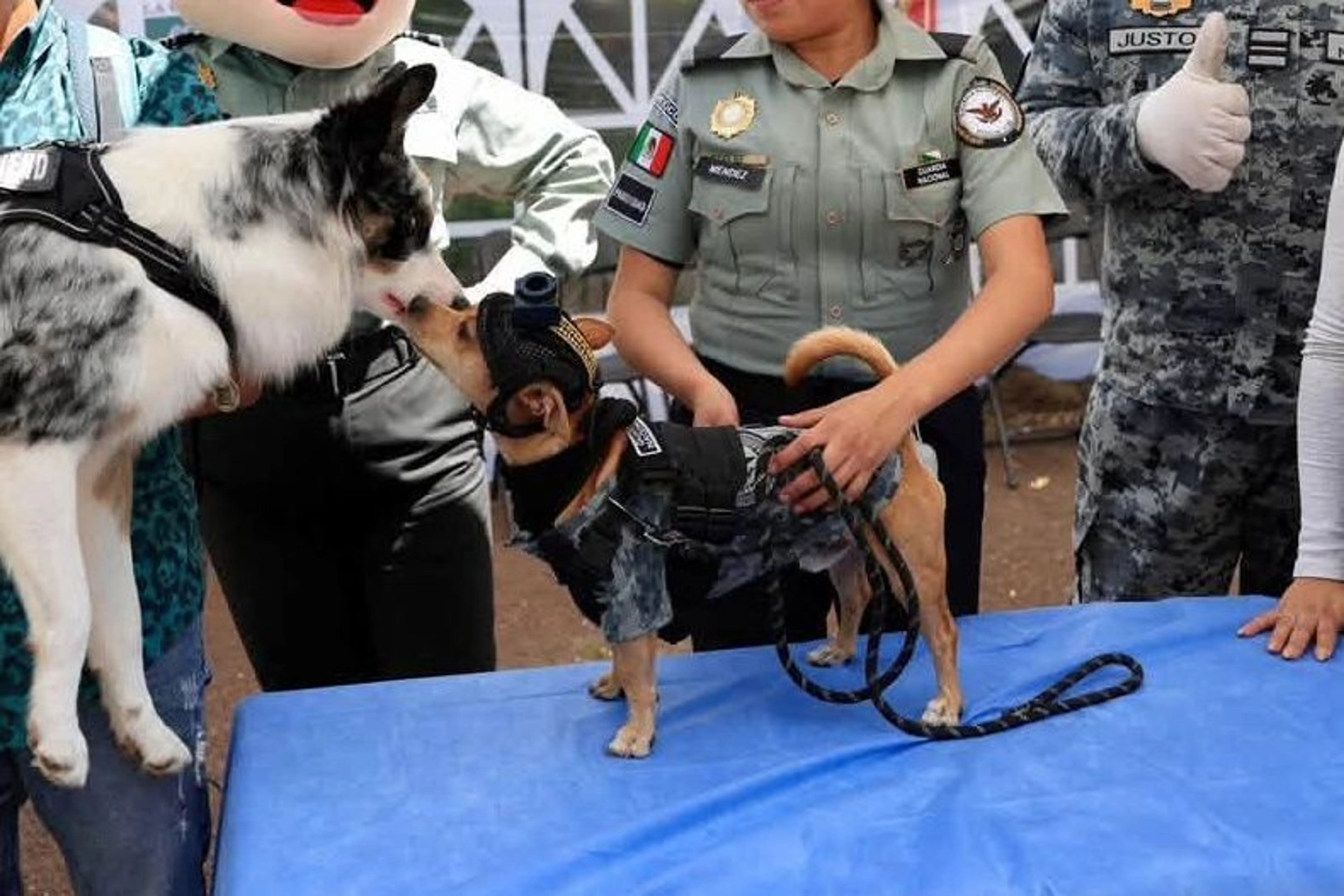 Guardia Nacional / Facebook.com