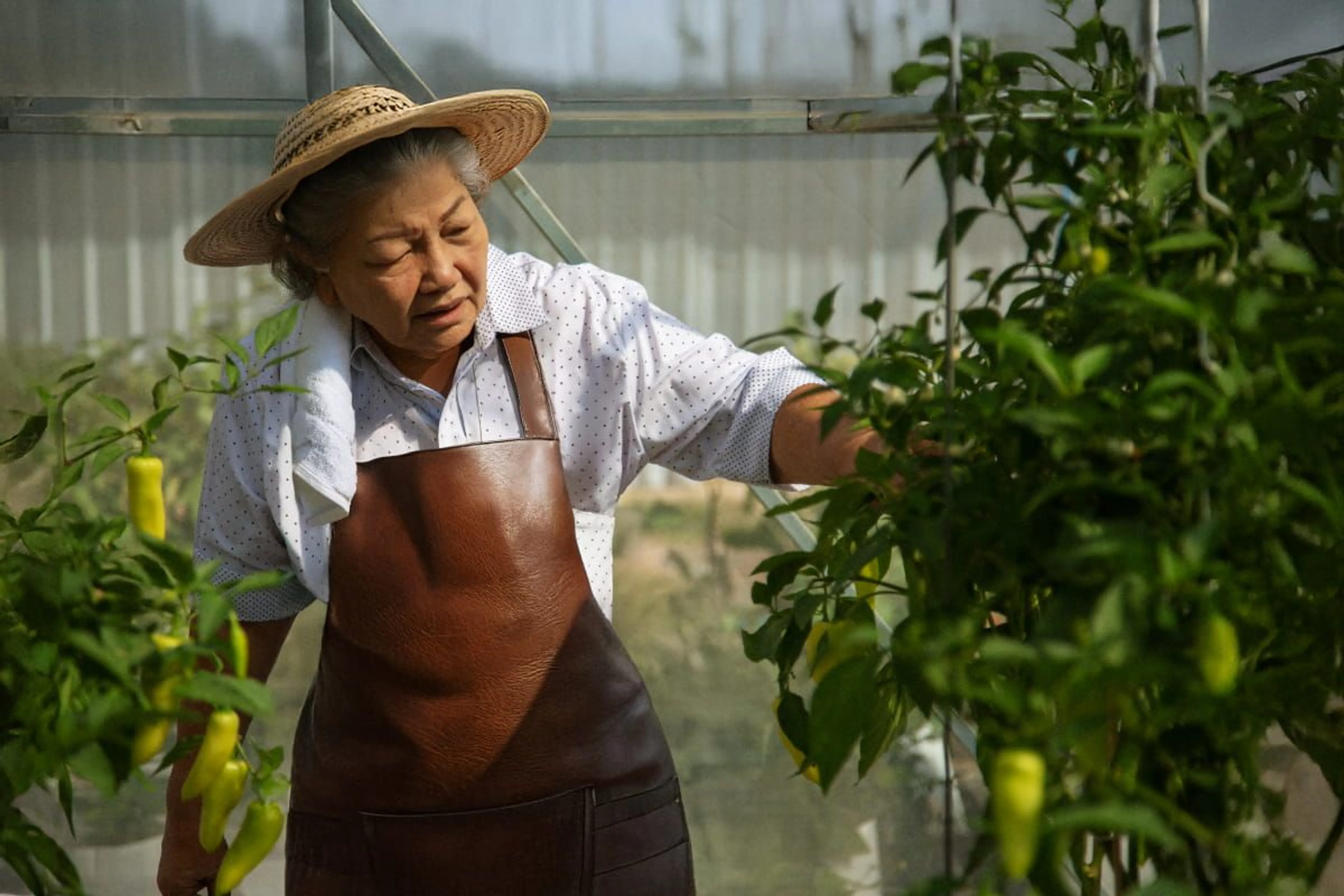 &nbsp;Freepik / yanukit