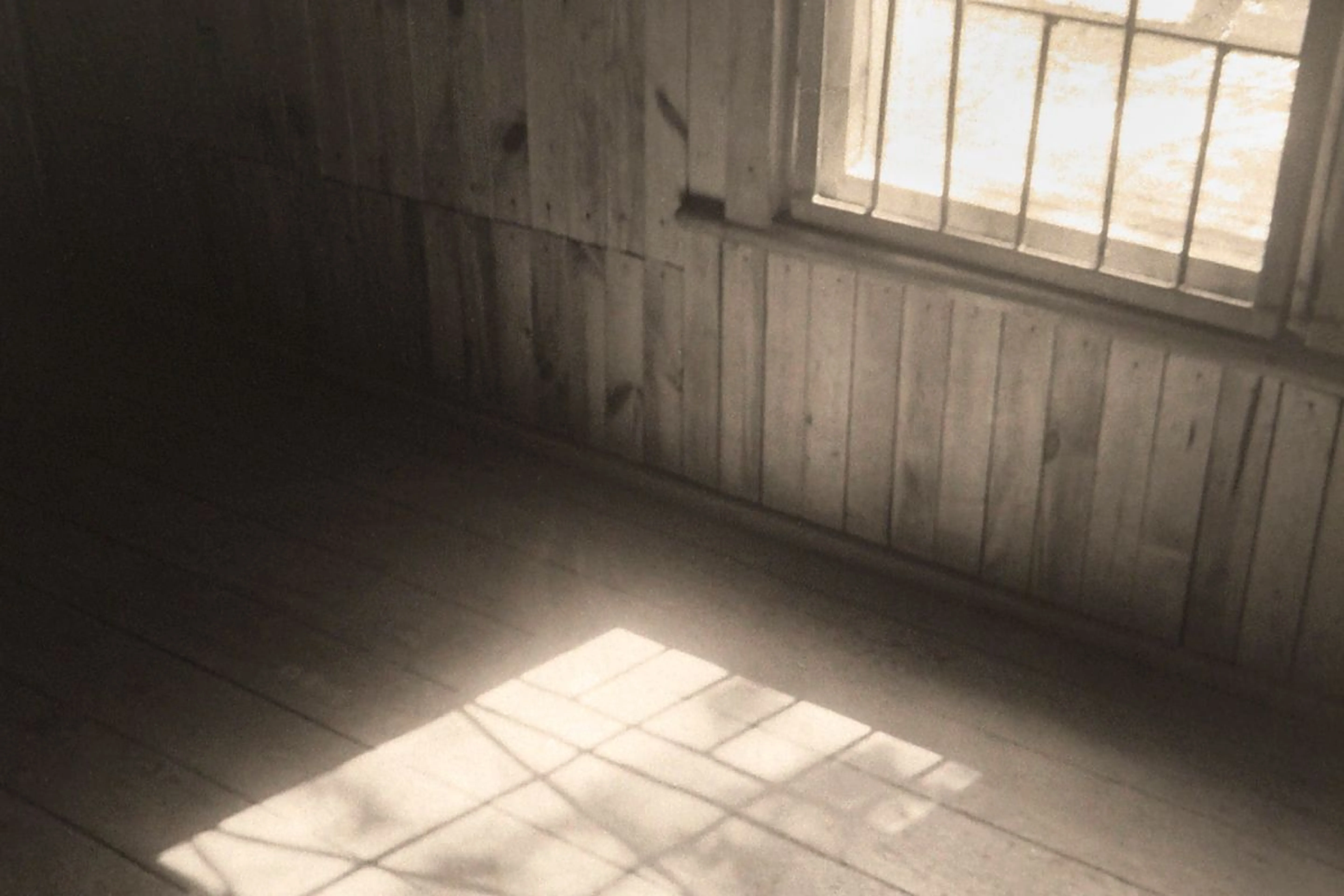 Артемий Матюнин