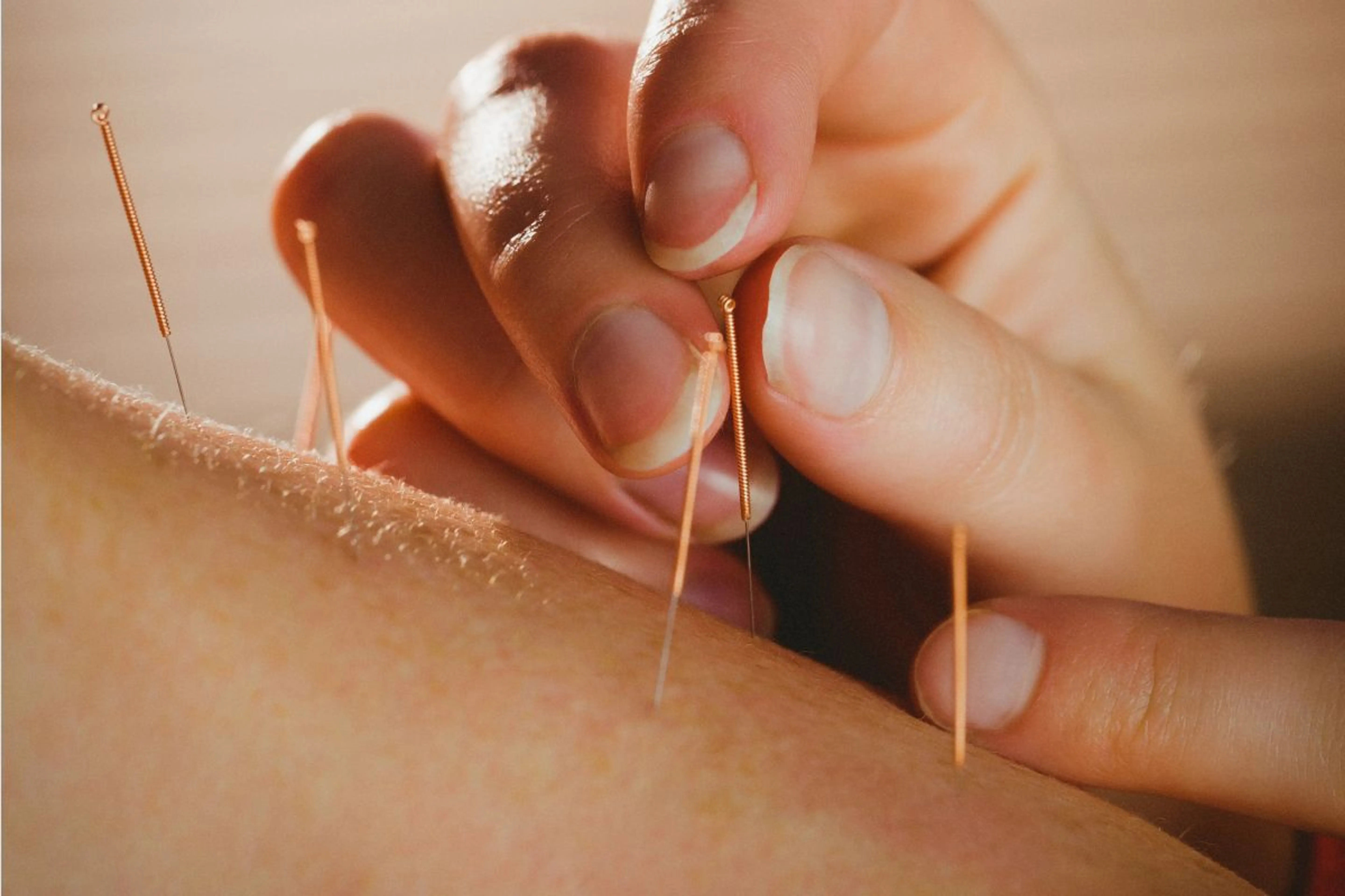 Freepik / Wavebreak Media