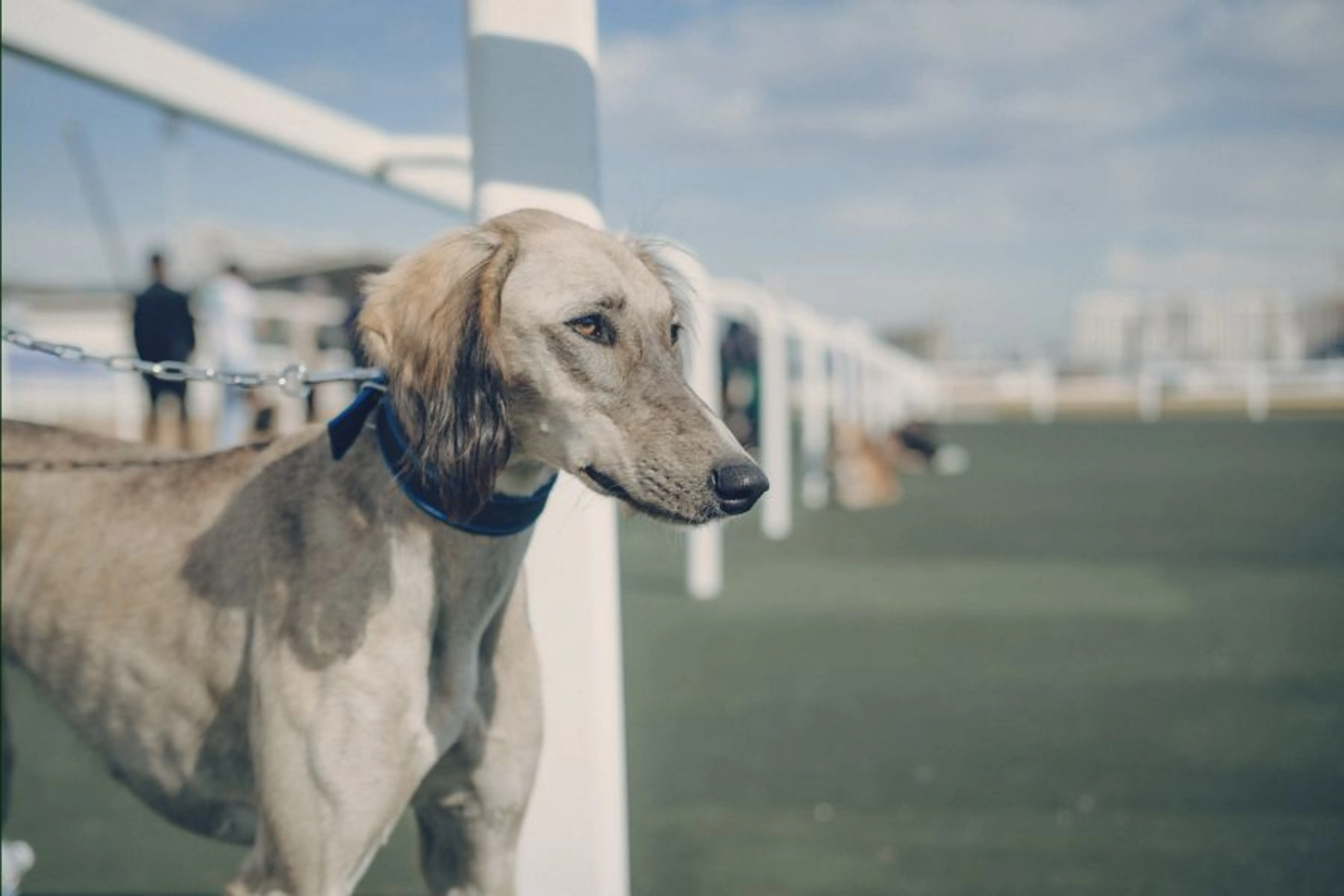 Фото: Владимир Яроцкий