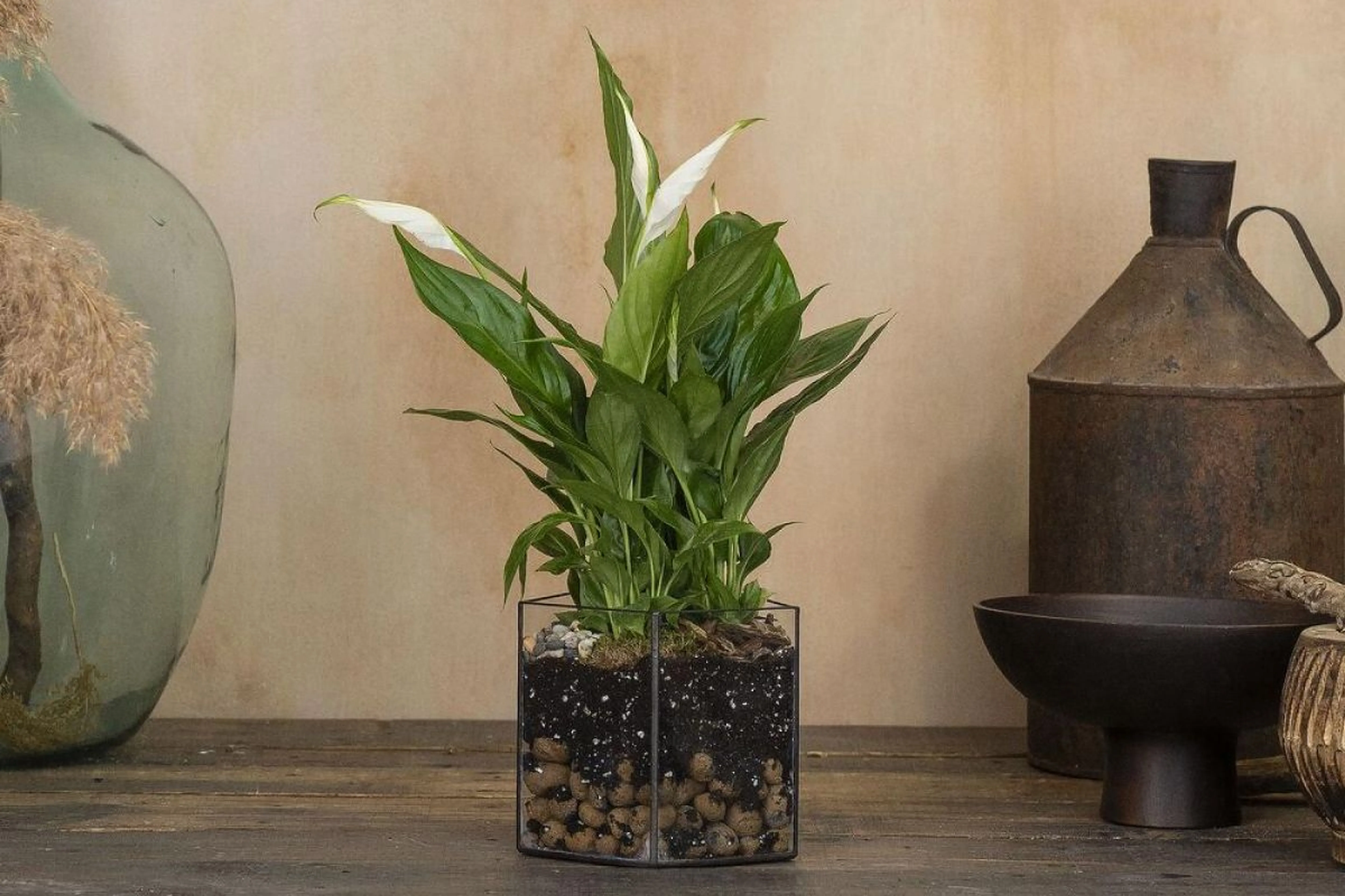 Фото из архивов Flowwow