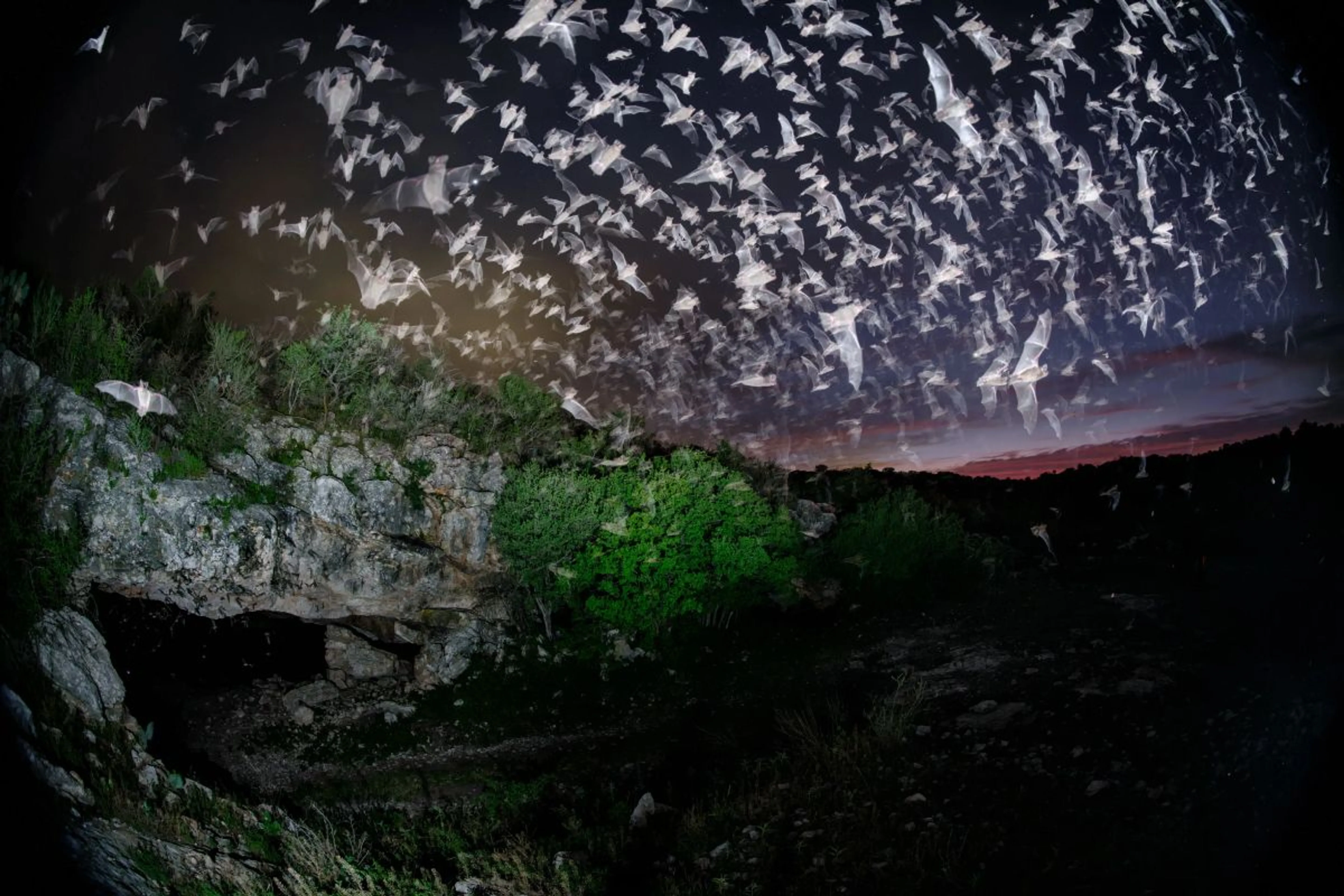 National Geographic представил свои фотографии года