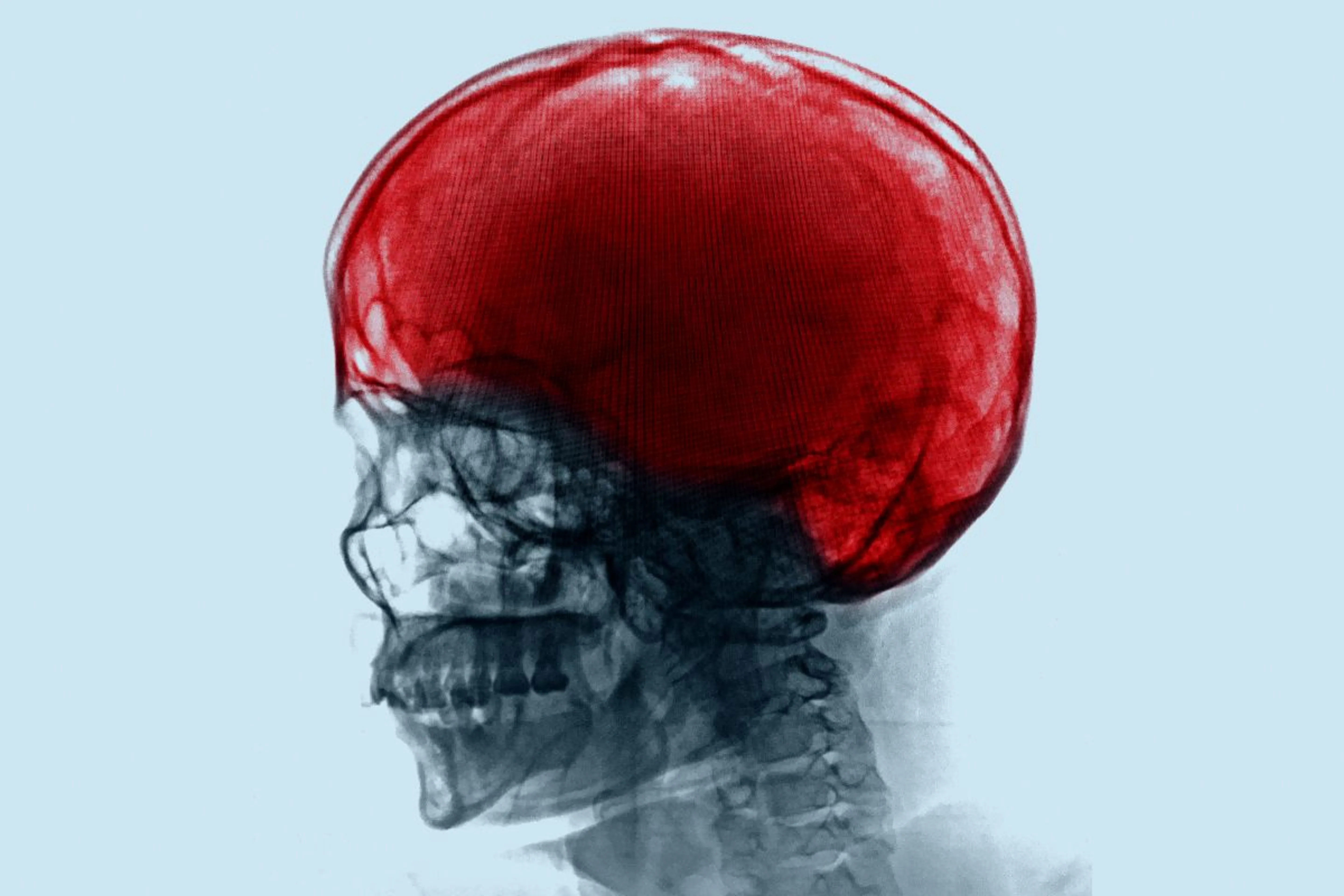 Freepik / kjpargeter