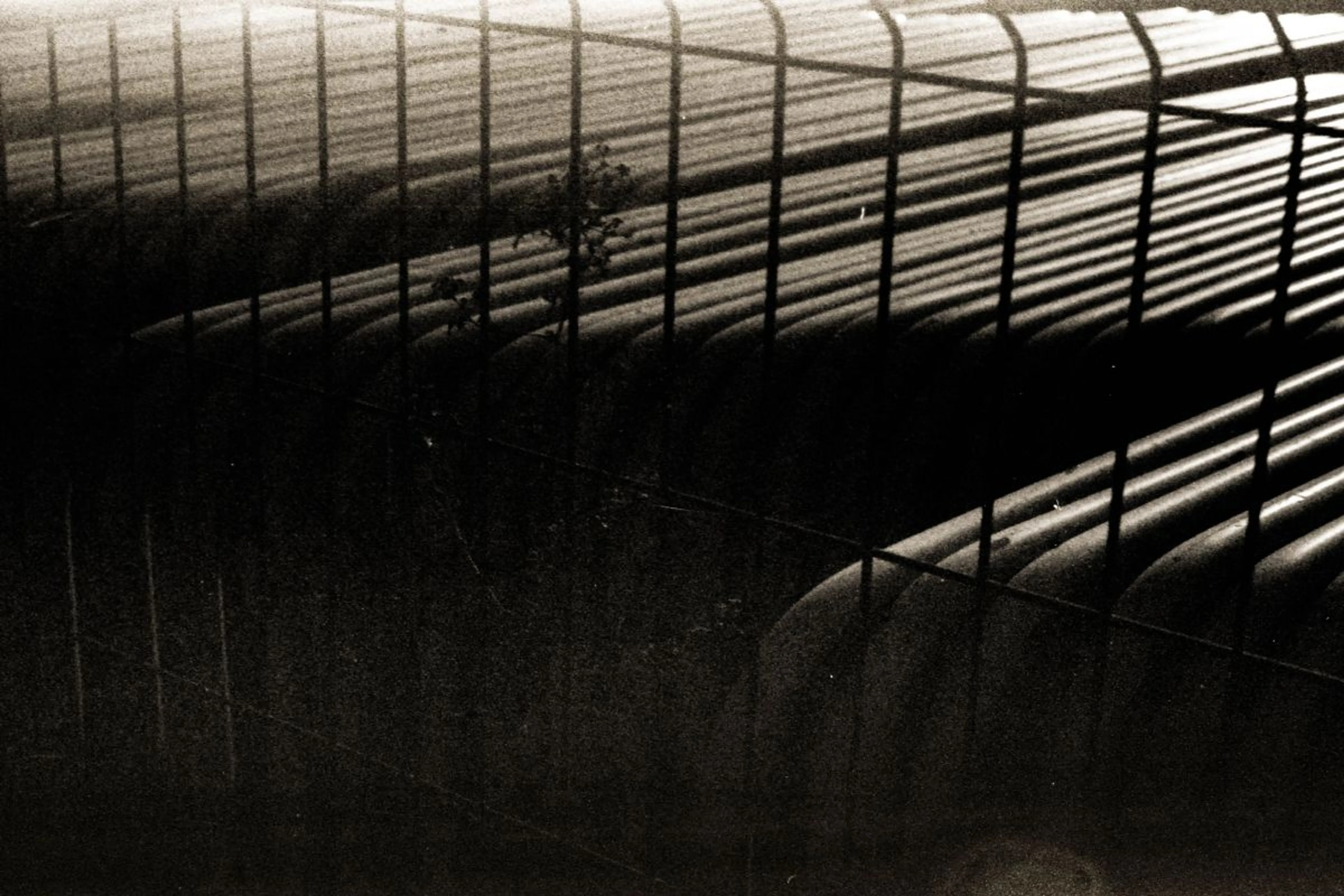 Артемий Матюнин