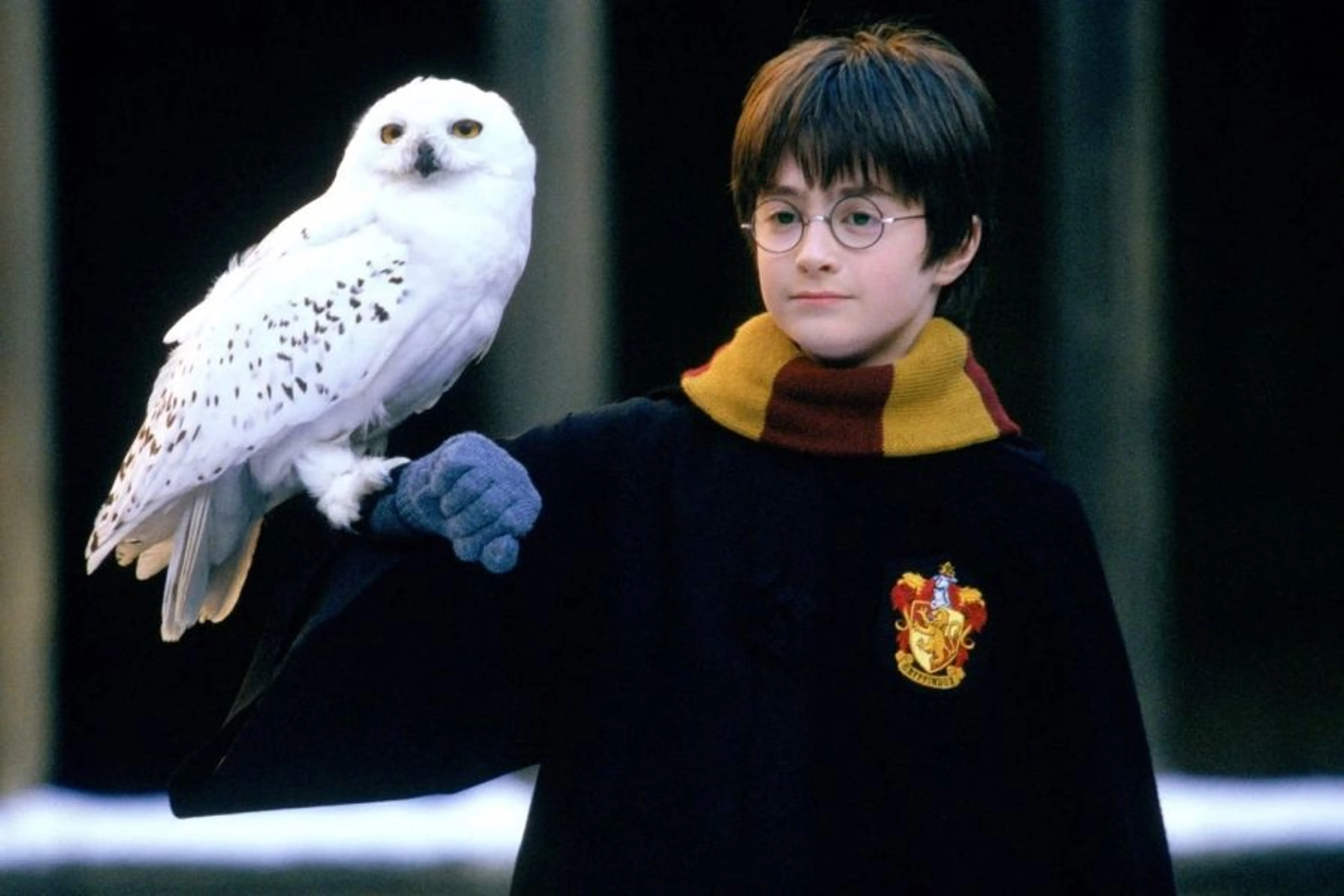 Кадр из фильма “Гарри Поттер и Философский камень”