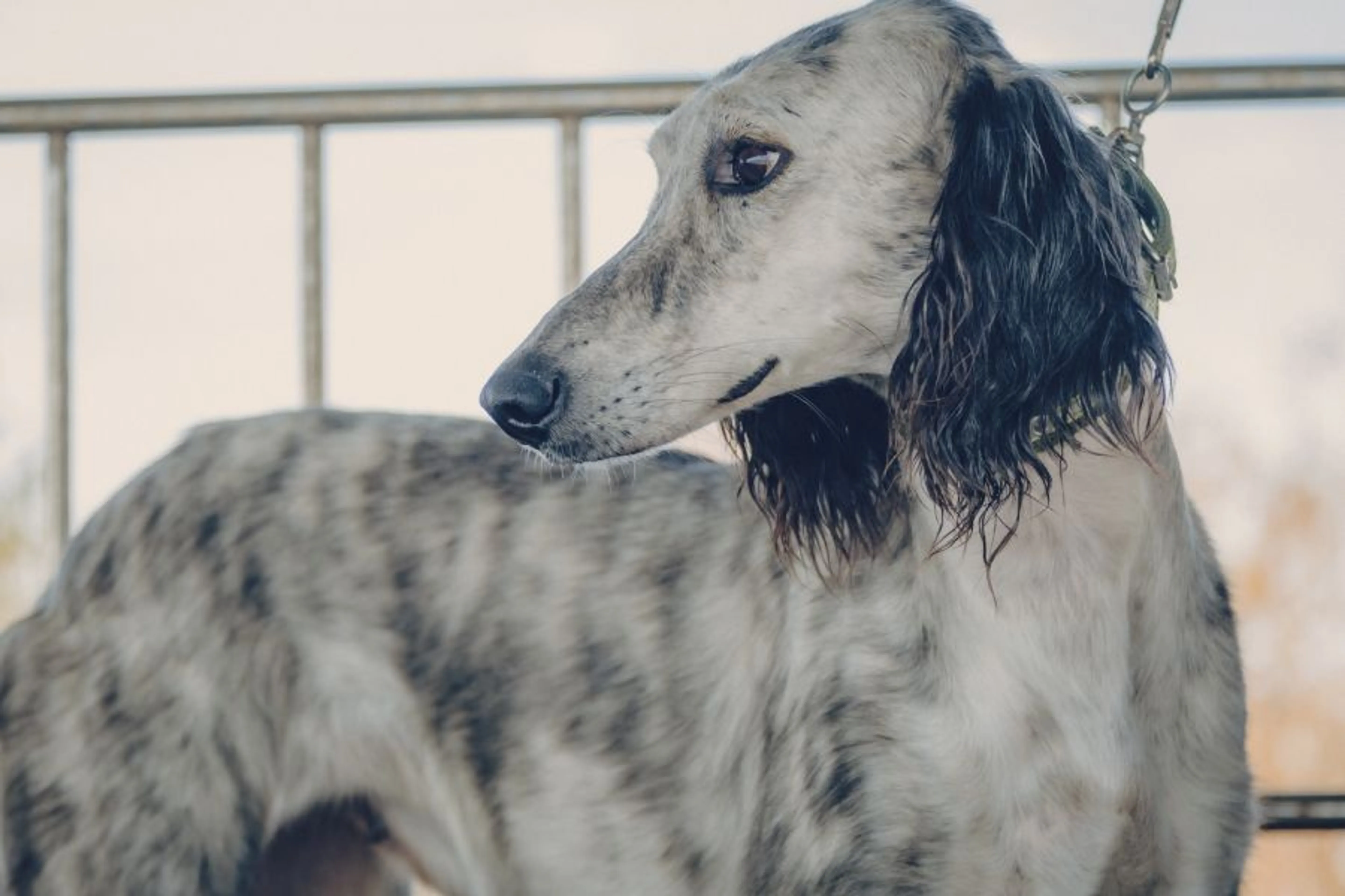 Фото: Владимир Яроцкий