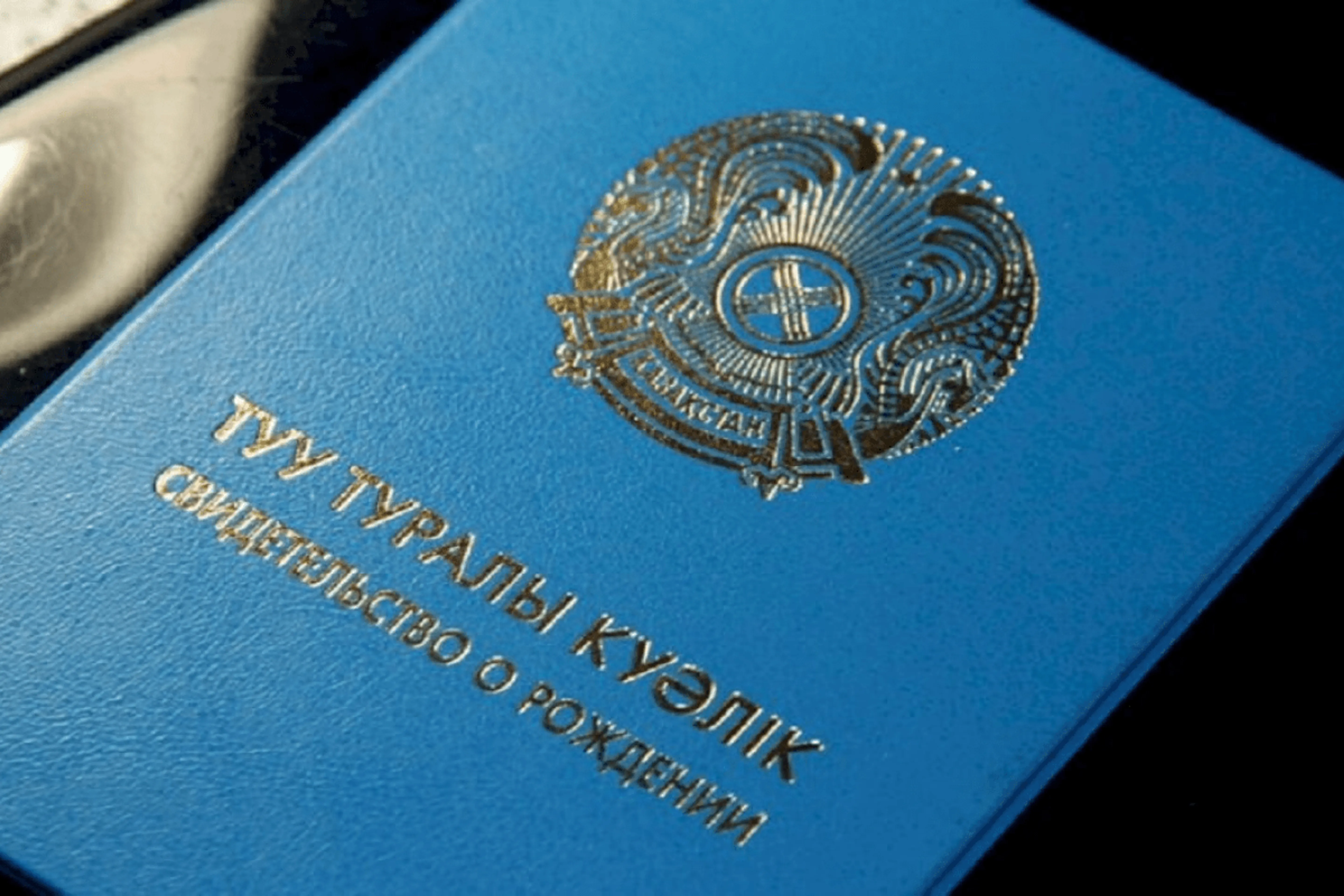 В Казахстане появится новый формат доставки свидетельств о рождении