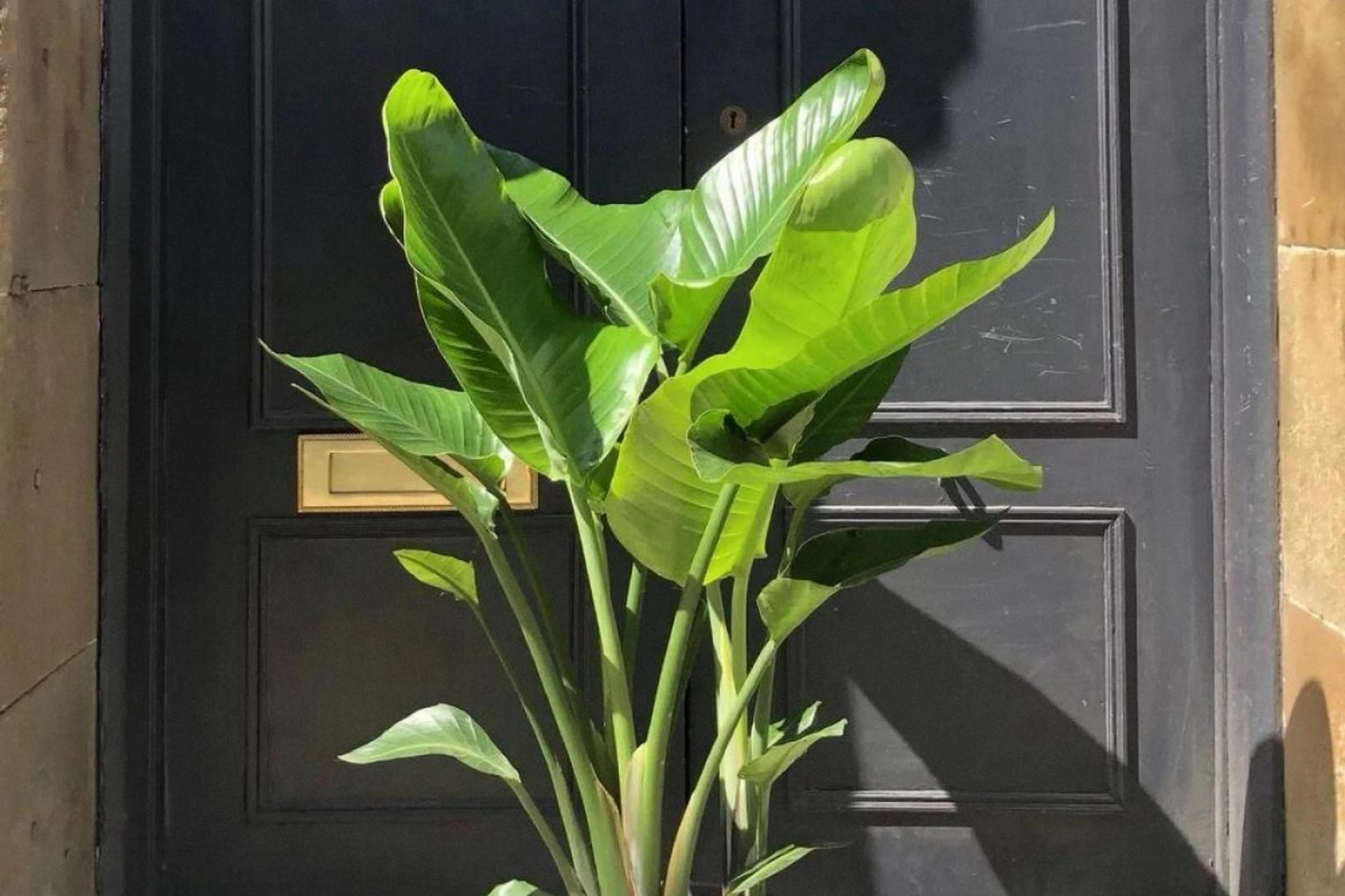 Фото из архивов Flowwow