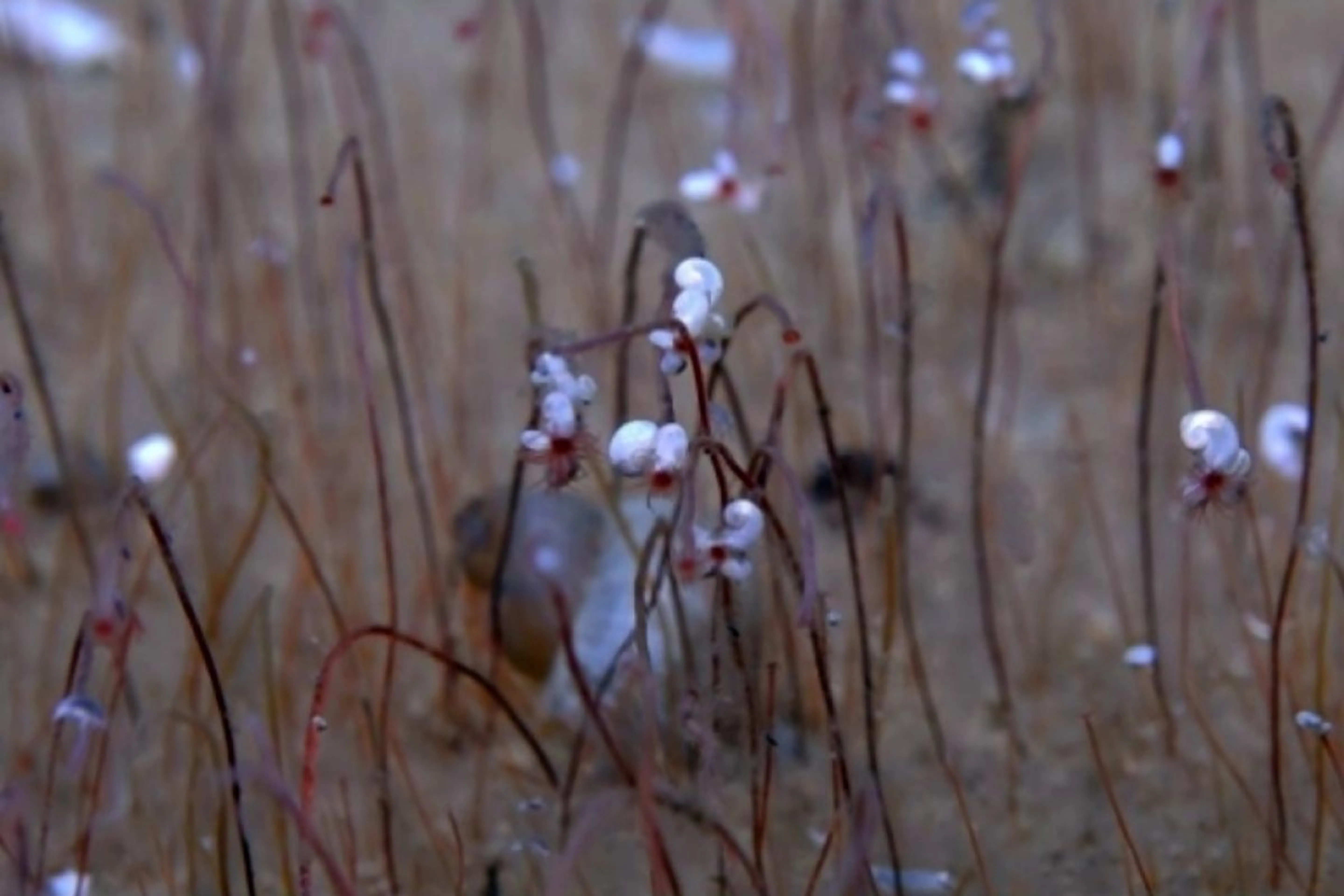 <a href="https://ourchinastory.com/" target="_blank">ourchinastory.com</a>