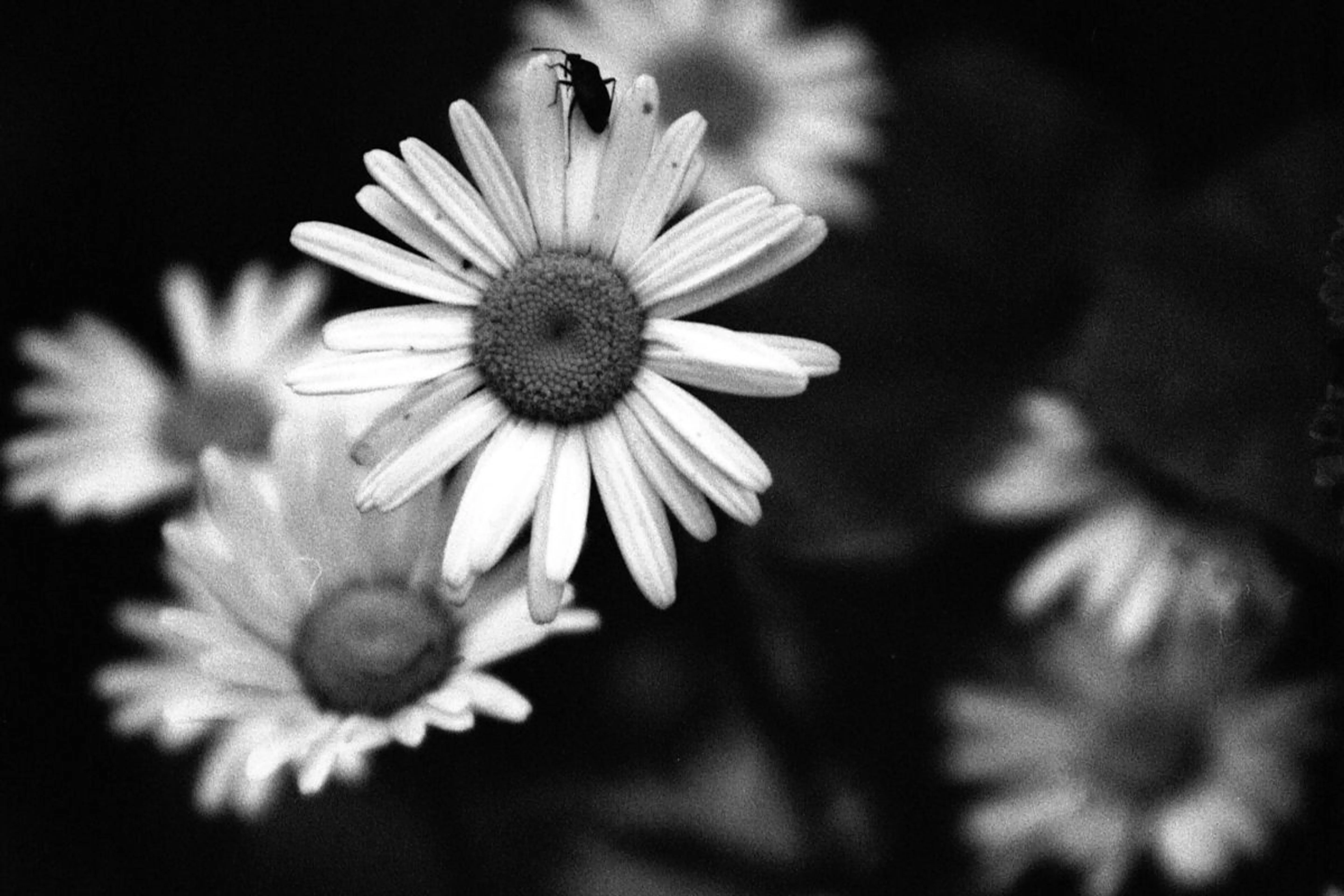 Артемий Матюнин