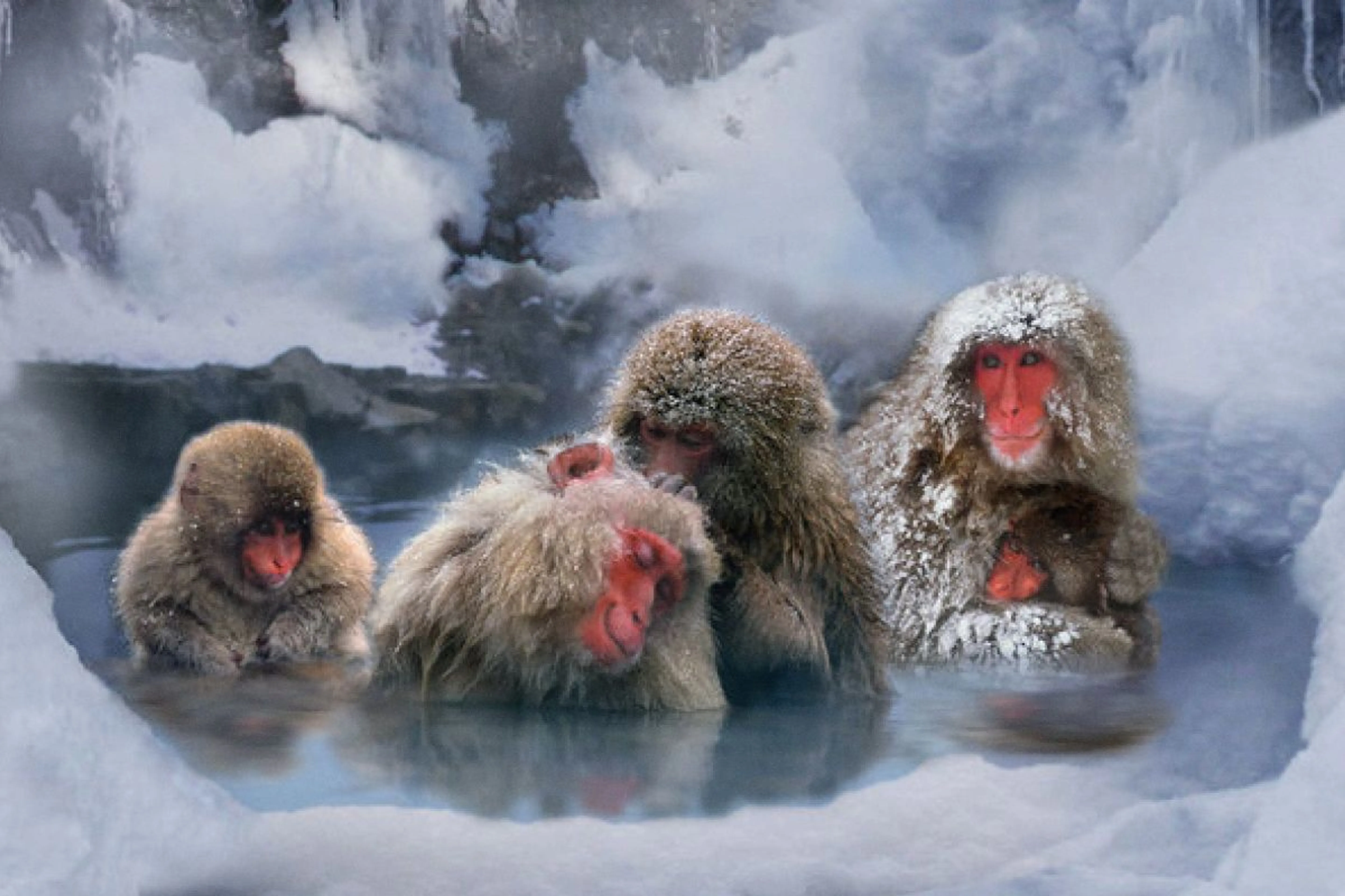 National Geographic