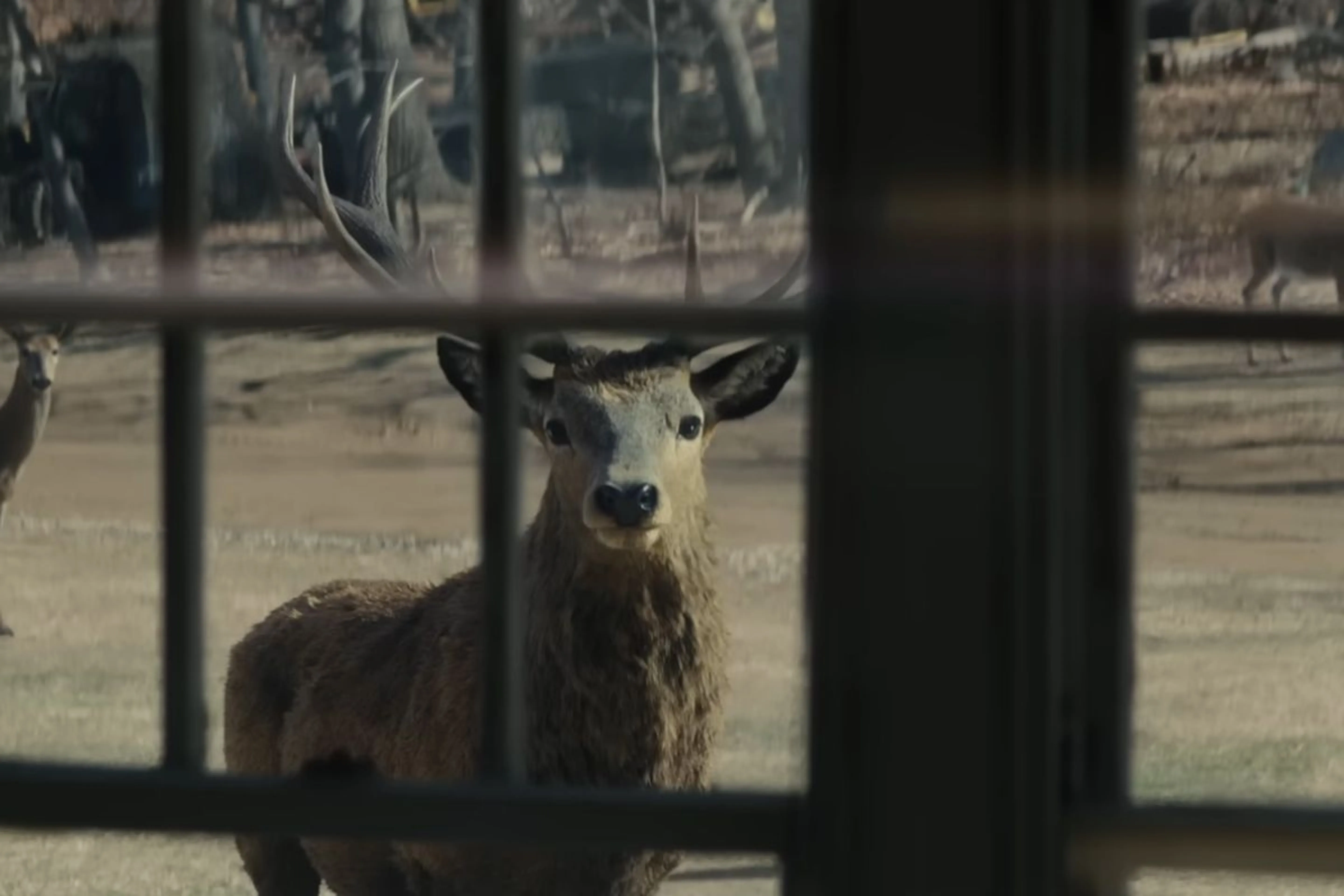 Youtube / UniversalPictures&nbsp;